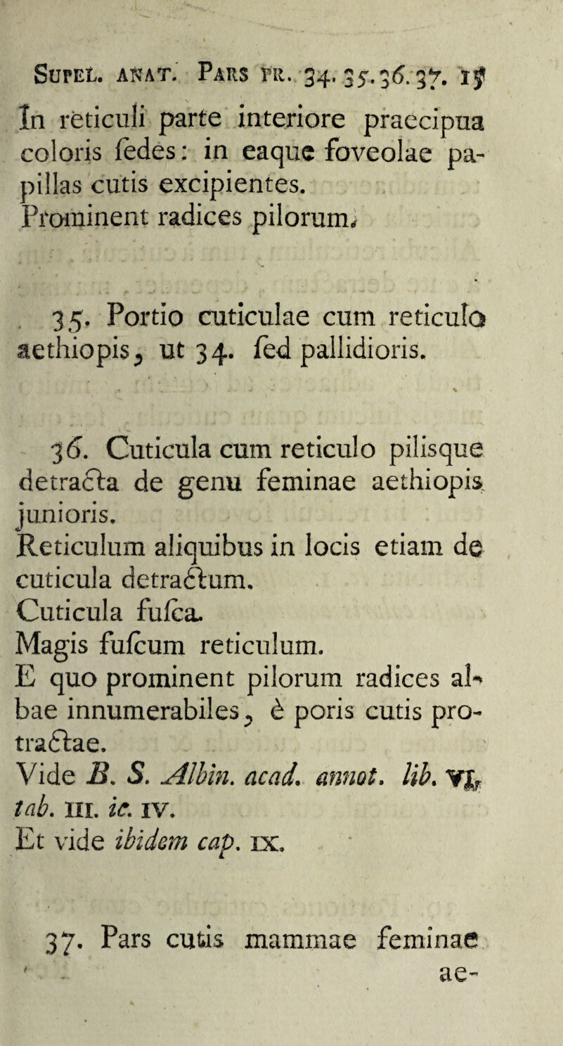 SurEL. anaT. Pars pr. 34,3jr.36.-gv. jf In reticuli parte interiore praecipua coloris iedes: in eaque foveolae pa¬ pillas cutis excipientes. Prominent radices pilorum.. 35. Portio cuticulae cum reticulo aethiopis, ut 34. fed pallidioris. 3<5. Cuticula cum reticulo pilisque detracta de genu feminae aethiopis. junioris. Reticulum aliquibus in locis etiam de cuticula detradlum. Cuticula fulca. Magis fufcum reticulum. E quo prominent pilorum radices al¬ bae innumerabiles., d poris cutis pro- tradfcae. Vide B. S. Albin. acad. annoi, lib. yj, tab. ili. ic. iv. Et vide ibidem cap. ix.