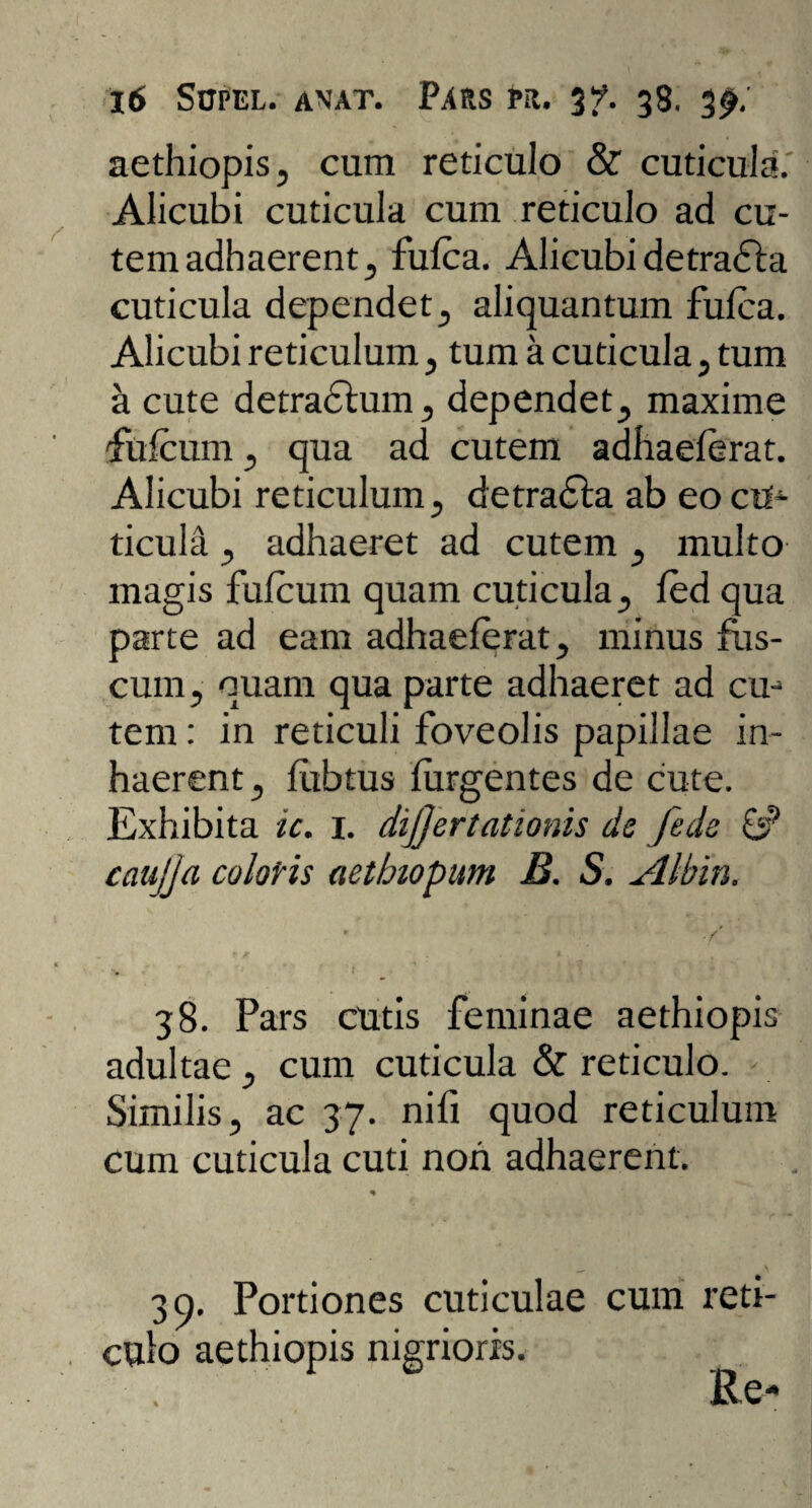 aethiopis, cum reticulo & cuticula. Alicubi cuticula cum reticulo ad cu¬ tem adhaerent, fufca. Alicubi detradla cuticula dependet , aliquantum fulca. Alicubi reticulum, tum a cuticula, tum a cute detradtum, dependet, maxime filicum , qua ad cutem adhaeierat. Alicubi reticulum, detradla ab eocUi ticula, adhaeret ad cutem , multo magis fuicum quam cuticula, ied qua parte ad eam adhaeierat, minus fus¬ cum , quam qua parte adhaeret ad cu¬ tem : in reticuli foveolis papillae in¬ haerent , ilibtus iurgentes de cute. Exhibita ic. 1. dijjertationis de fede 6? cau/ja coloHs aetbiopum B. S. Albin. 38. Pars cutis feminae aethiopis adultae, cum cuticula & reticulo. > Similis, ac 37. nifi quod reticulum cum cuticula cuti non adhaerent. 30. Portiones cuticulae cum reti¬ culo aethiopis nigrioris. Re-