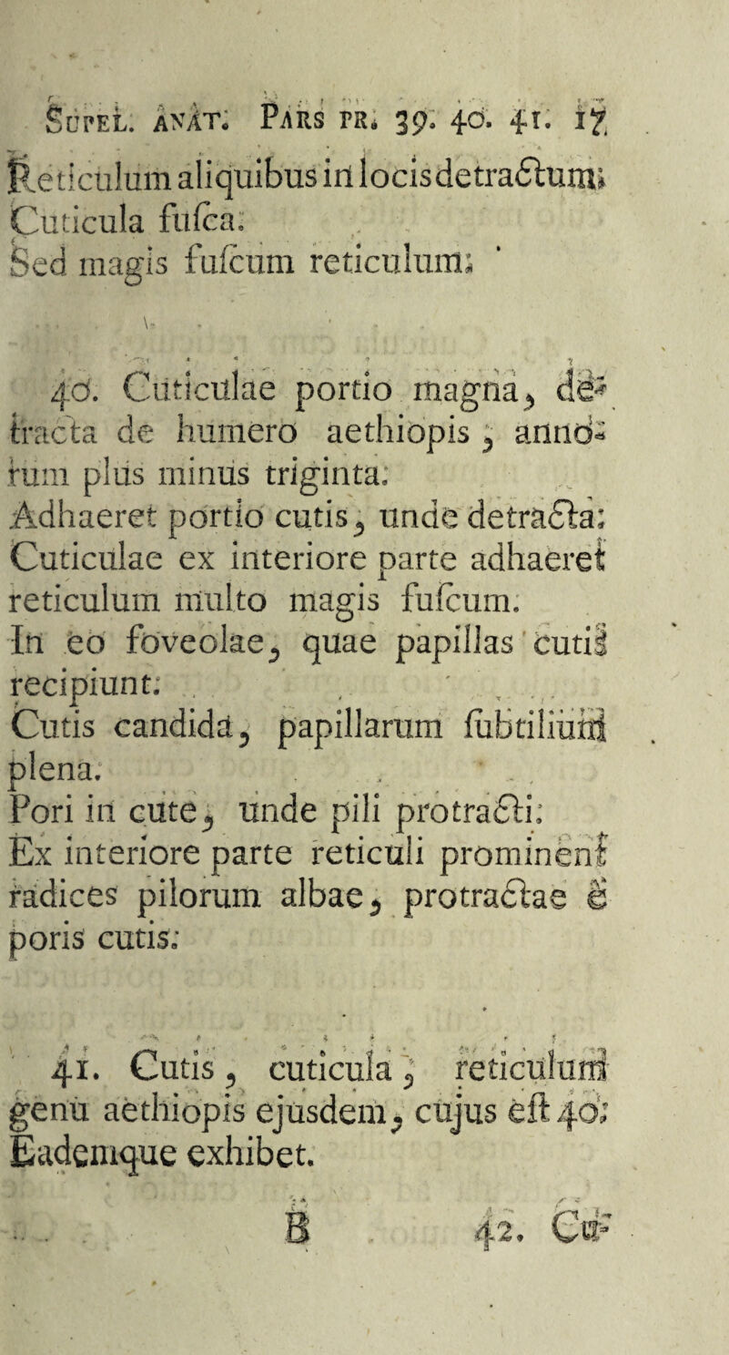•y _ ». ' Reticulum aliquibus irt locisdetradhinu Cuticula fufca. Sed magis fufcum reticulum; 40. Cuticulae portio magna , de5 fracta de humero aethiopis , arinti» tum plus minus triginta; Adhaeret portio cutis, unde detradha; Cuticulae ex interiore parte adhaeret reticulum multo magis fufcum. In eo foveolae, quae papillas cutii recipiunt; , , ... Cutis candida, papillarum fubtiliutll plena. . Pori in cute, unde pili protradli; Ex interiore parte reticuli prominen! radices pilorum albae, protradlae & poris cutis; 41. Cutis, cuticula , r * x , ) 1 • ^ • genu aethiopis ejusdem, cujus e Eademque exhibet. 2 42. Ctr