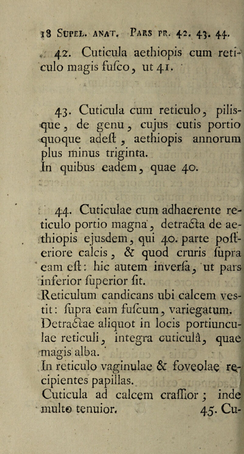 42. Cuticula aethiopis cum reti¬ culo magis fufco, ut 41. ' 43. Cuticula cum reticulo, pilis¬ que , de genu, cujus cutis portio quoque adeft , aethiopis annorum plus minus triginta. In quibus eadem, quae 40. • - , „• < . • .. ! • 1 . C * i * Af + . • V ** V ' 44. Cuticulae cum adhaerente re¬ ticulo portio magna, detradla de ae¬ thiopis ejusdem, qui 40. parte poft- eriore calcis, & quod cruris fupra eam eft: hic autem inverfa, ut pars inferior fuperior fit. Reticulum candicans ubi calcem ves¬ tit: fupra eam fulcum, variegatum. Detradlae aliquot in locis portiuncu¬ lae reticuli, integra cuticula, quae magis alba. ’ - 1 In reticulo vaginulae & foveolae re¬ cipientes papillas. Cuticula ad calcem craffior; inde • multo tenuior. 45. Cu-