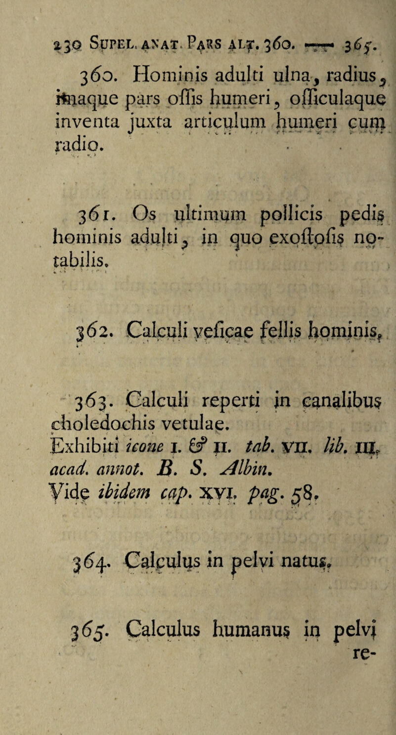 a3Q SUPEL, ANAT. P^RS AL?-. 360. -pr 3.6$-. / 360. Hominis adulti ulna, radius5 rhiaque pars offis humeri, officulaque inventa juxta articulum humeri cunj radio. t 4 3<5r. Os ultimum pollicis pedis hominis adulti, in quo exoflolis no¬ tabilis. t. '• > * ** ' * \ 362. Calculi veficae fellis hominis, 4 ' # 363. Calculi reperti in canalibus choledochis vetulae. » s* x . . • Exhibiti icone i. 6? ji. tab. vil. lib. m acad. annot. B. S. Albin. Yide ibidem cap. XVI. pag. ^8. 364. Calculus in pelvi natus, 3 65. Calculus humanus in pelvi re-