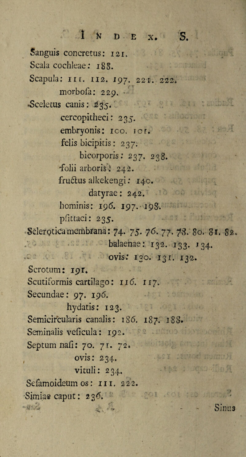 Sanguis concretus: 121. Scala cochleae: 188. Scapula: nr. 112. 197. 22 s. 222. morbofa: 229. * •Sceletus canis: 235*' cercopitheci: 235. embryonis: ico. icr* felis bicipitis: 237. bicorporis: 237. 238. 'folii arboris ^ 242. fruclus alkekengi: 140. datyrae: 242. hominis: 196. 197.-198. pfittaci: 235. Scleroticamembrana: 74. 75. 76. 77. 7-8:80. 81. 82. balaenae: 132. 133. J34. • ovis; 130. 131. 132. Scrotum: 191. Semiformis cartilago: 116. 117. Secundae: 97. 196. hy datis: 123. Semicircularis canalis: 186. 187. 188* Seminalis veficula: 192. Septum nafi: 70. 71. 72* ovis: 234. vituli: 234. Sefamoideum os: m. 222. -Simia® caput: 2 36, - Simis