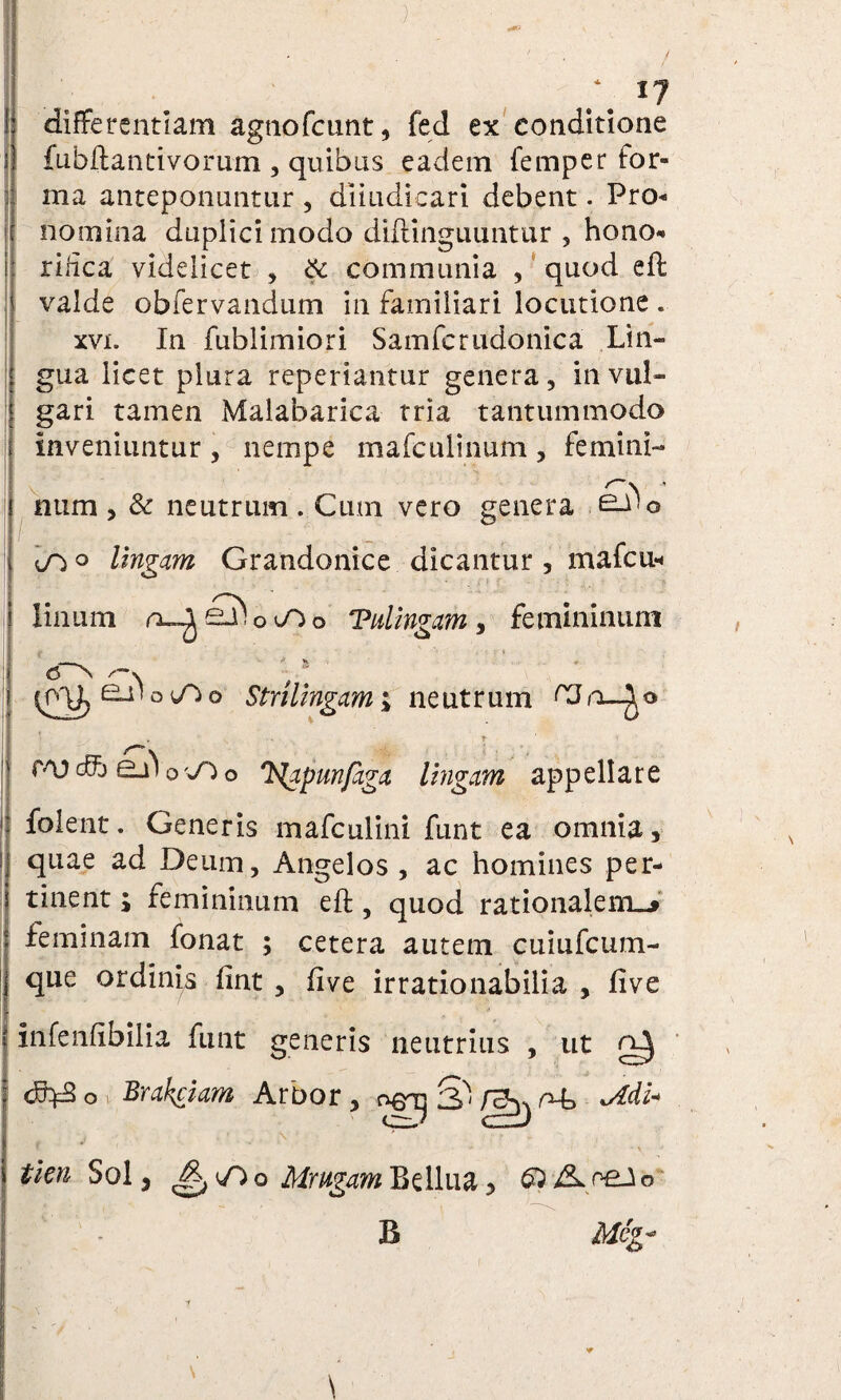 differentiam agnofcunt, fed ex conditione fubftantivorum , quibus eadem femper for¬ ma anteponuntur , diiudicari debent. Pro¬ nomina duplici modo diftinguuntur , hono¬ rifica videlicet , 6c communia , qnod eft valde obfervandum in familiari locutione « xvi. In fublimiori Samfcrudonica Lin¬ gua licet plura reperiantur genera, in vul¬ gari tamen Malabarica tria tantummodo inveniuntur, nempe mafculinum, femini¬ num , & neutrum . Cum vero genera gj)o oO° Ungam Grandonice dicantur , mafcu«< linum Tulingam, femininum <r*\ & Strilingam; neutrum roa cfb ej^ o'wO o T^apun/aga lingam appellare folent. Generis mafculini funt ea omnia, quae ad Deum, Angelos , ac homines per¬ tinent ; femininum eft, quod rationalem-» feminam fonat ; cetera autem cuiufcum- que ordinis fint , iive irrationabilia , five ut ^ tkn Sol, vDo MrugamBellua, &-&oeio B Meg* t infenfibilia funt generis neutrius , o Brakciam Arbor , 3^