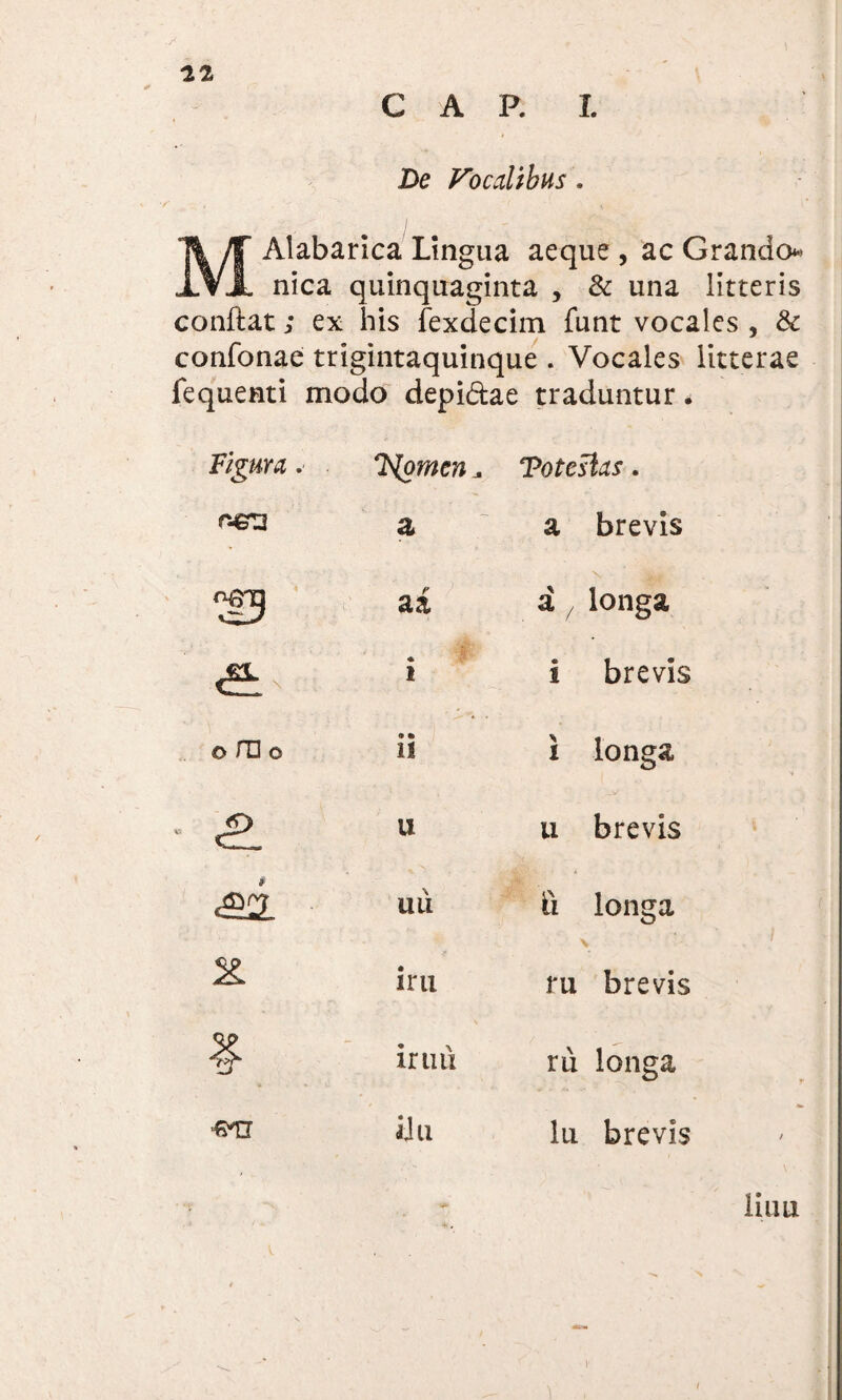 De Vocalibus. Alabarica Lingua aeque , ac Grando nica quinquaginta , & una litteris conftat; ex his fexdecim funt vocales , & confonae trigintaquinque . Vocales litterae fequenti modo depi&ae traduntur. Figura. K[gmen* Toteslas. r-€ra a a brevis ^9 a i X d/ longa ♦ i s brevis 0 m o 9 • 11 i longa u n brevis ai UU ti longa irii m brevis ¥ irim ru longa «6-TT iJu lu brevis liuu i* ^ ,