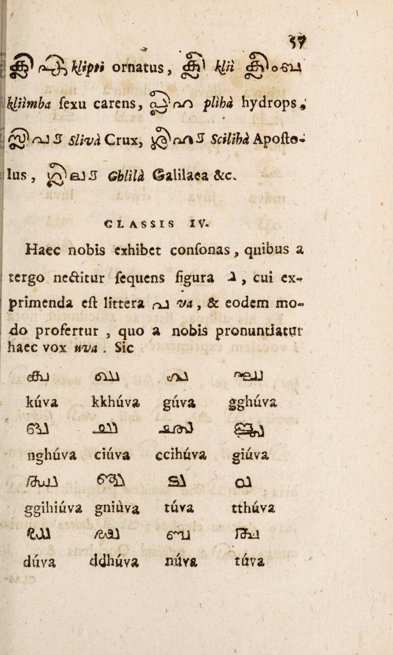$ rQkH*p*i ornatus» gh\ tyi o-GXJl klttmba fexu carens, Dnrt flibi hydrops,' < * l\ 3 Silva Crux, ^nf%3 Scilihi Apofto» I / Ius , ^eJ5 Ghlila Galilaea &c. ■ CLASSIS IV« Haec nobis exhibet eonfonas, quibus % tergo nc&itur fequens figura ^ , cui ex- m primenda cft littera ru w, & eodem mo- do profertur , quo a nobis pronuntiatur haec vox uva . Sic dffii «eJJ kuva kkhuva guva gghuva V , .qV1 £3*1 nghuva chiva ccihuva giuva fdui^ Si ol ggihiuva gniuva tuva tthuva eoa mi 6~U raFia duva ddhuva mira tdva