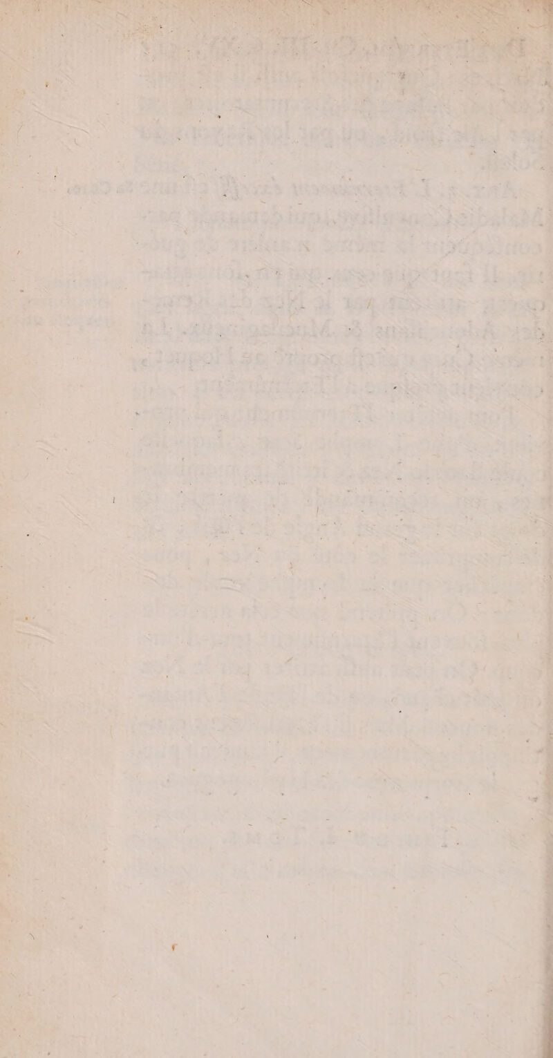 “ À Jet à 4 sanaltent É LE: 2) Der | &amp;i H Fi ML RE # LEE o x diet à ho : LPS fi +8