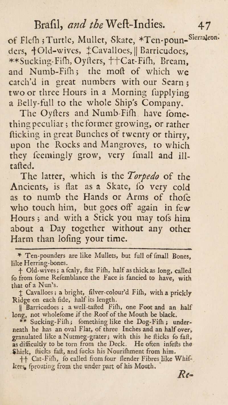 * of Flefh 5 Turtle, Mullet, Skate, * **Ten-poun-Slerraie0n’ tiers, Old-wives, JCavalloes, || Barricudoes, **Sucking-Fifh, Oyflers, ffCat-Fifh, Bream, and Numb-Fifh 5 the mod of which we catch’d in great numbers with our Searn 5 two or three Hours in a Morning fupplying a Belly-full to the whole Ship's Company. The Oyflers and Numb-Fifh have fomc- thing peculiar; the former growing, or rather flicking in great Bunches of twenty or thirty, upon the Rocks and Mangroves, to which they feemingly grow, very ftnall and ill- tafted. The latter, which is the Torpedo of the Ancients, is flat as a Skate, fo very cold as to numb the Hands or Arms of thofe who touch him, but goes off again in few Hours 5 and with a Stick you may tofs him about a Day together without any other Harm than lofing your time. * Ten-pounders are like Mullets, but full of fmall Bones, like Herring-bones. f Old* wives; afealy, flat Fifh, half as thick as long, called fo from fome Refemblance the Face is fancied to have, with that of a Nun’s. J Cavalloes; a bright, filver-colour’d Fifh, with a prickly Ridge on each fide, half its length. || Barricudoes ; a well-tafted Fifh, one Foot and an half long, not wholefome if the Roof of the Mouth be black. ** Sucking-Fifh; fomething like the Dog-Fifh ; under¬ neath he has an oval Flat, of three Inches and an half over, granulated like a Nutmeg-grater; with this he flicks fo fall, as difficultly to be torn from the Deck. He often infefts the Shirk, flicks faft, and fucks his Nourifhment from him. f'f Cat-Fiih, fo called from four flender Fibres like Whif- kers# fprouting from the under part of his Mouth. Re~
