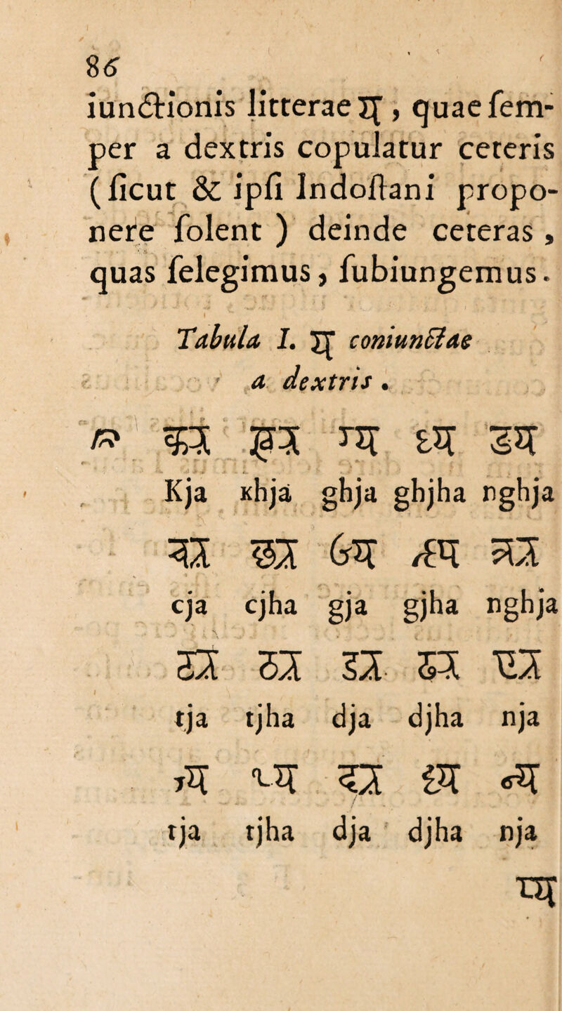 ( iundtionis litterae X[ , quae Tem¬ per a dextris copulatur ceteris (licut & ipfi Indoftani propo¬ nere folent ) deinde ceteras , quas felegimus, fubiungemus. Tabula I. JT coni unci as ’ a dextrts. & 3-xr m m i I' it* '4 ■* •. i* %, J' v . : ' ’ i * Kja Khja ghja ghjha rghja v m &i /W sa cja cjha gja gjha nghja ' / : ^ '• ^ V 32 31 32 Z2 212 I \ * tja tjha dja djha nja *2 «T 32 12 «2 tja tjha dja djha nja