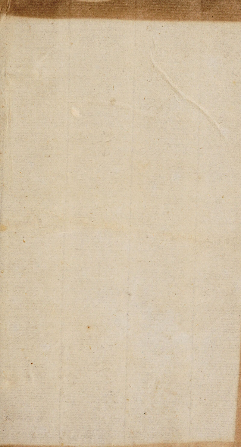 “tv i i ■i j ^ * 4 ir/^y v; _J \ ■ * jp \ - .TV-’ ■, -‘^-'y- . -V i\' ■■' • ■ 'r*fliiihii^' II' & •4.. •.