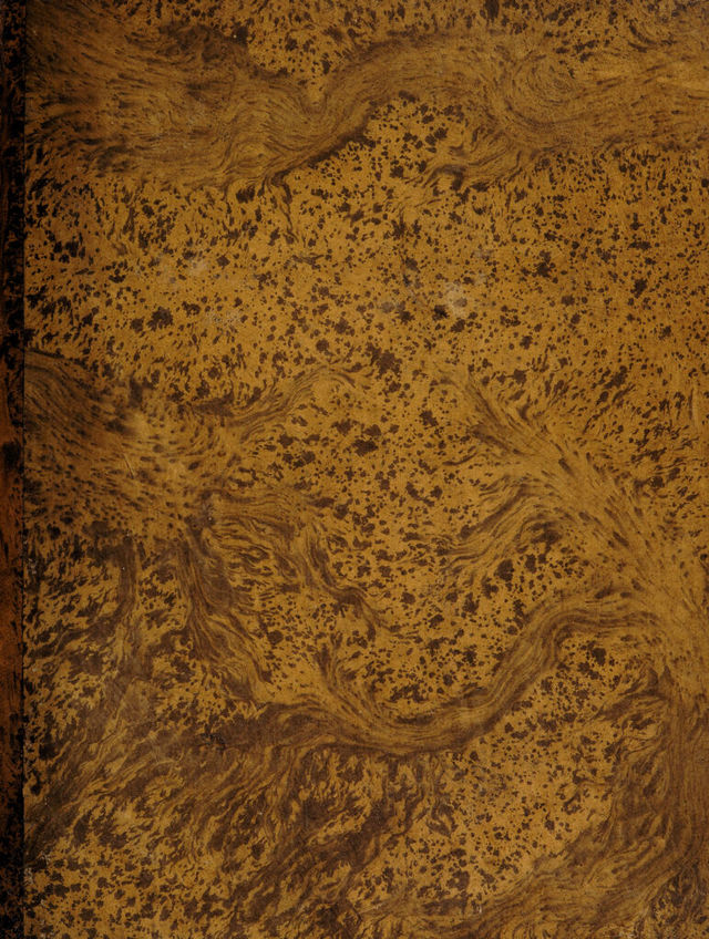 digitised image 1