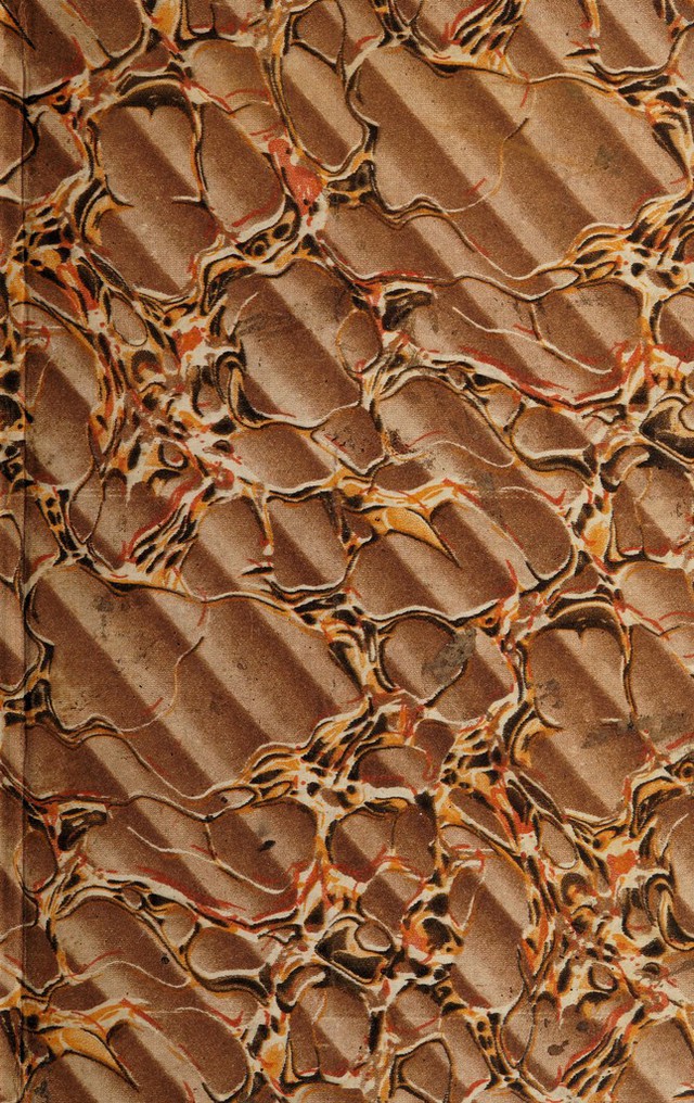 digitised image 1