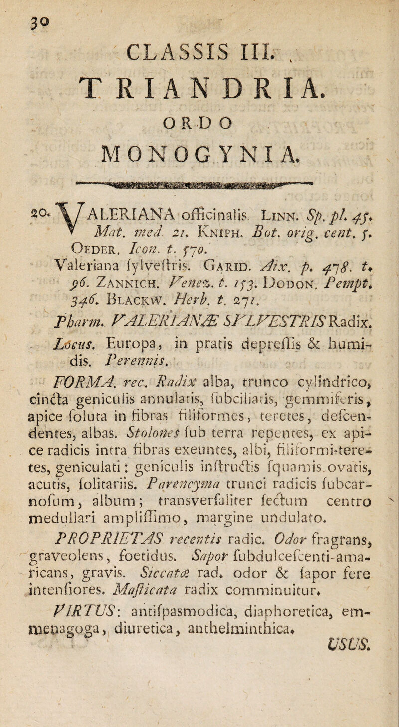 CLASSIS III. . TRIA N DRIA. ORDO MONOGYNIA. 2°* \ 7 ALERIANA offici n alis Linn. Sp. pL 4$* ▼ M/A med. 21* Kniph. Bot. orig. y* Oeder, Icon. t. fj0t‘ Valeriana fylyeftris. Garid. Aix. p> ^8. t♦ Zanmich. Vene%. t, //3* Dodqn, Pempt> 3<f6. Blackw. Herb. i, 27/. VALERI AN PE SVLVESTRLSKa&x. Locus. Europa, ia pratis depreflis & humi- dis. Perennis. FORMA,. re'c+ Radix alba, trunco cylindrico* cinfta geniculis annularis, fubciliatis, gemmiferis, apice foluta in fibras filiformes, teretes, defcen- d entes, albas. Stolones fub terra repentes, ex api¬ ce radicis intra fibras exeuntes, albi, filiformi-tere* tes, geniculati: geniculis inftrudtis fcjuam is, ovatis, acutis, folitariis. Parcncyma trunci radicis fu bea r- nofium, album; transverfaliter feffum centro medullari ampliffimo, margine undulato. PROPRIETAS recentis radie. Odor fragrans, graveolens, foetidus. Sapor fubdulcefcentfama¬ ricans, gravis. Siccata rad* odor & fapor fere in te n fiores. Mafticata radix Comminuitur* VIRTUS: antifpastnodica, diaphoretica, em- menagoga, diuretica, anthelminthkxn USUS*