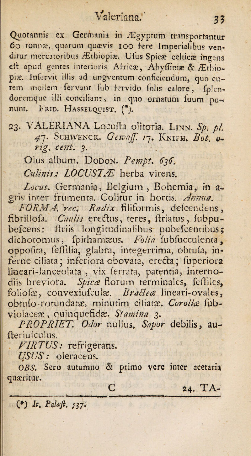 Valeriana/ * 35 Quotannis ex Germania in iEgyptum transportantur 60 tonnse, quarum quaevis ioo fere Imperialibus ven¬ ditur mercatoribus /Ethiopiae. Ulus Spicre celticae ingens dl apud gentes interioris Africa?, Abyflinise & /Erhio- pice. Infervit iliis ad ungvenrum conficiendum, quo cu- tem mollem fervant lub fervido fobs calore, fplen- doremque illi conciliant, in quo ornatum fuum po¬ nunt. Frid. Hasselquist. (*). 23. VALERIANA Locufta olitoria. Linn. Sp, pL ^7. Schwenck. Gewnjjf. /7* Kniph. Bot. o- rig. cent. 3, Olus album. Dodon. Pempt♦ 636. Culinis: LOCUSTAS herba virens. Locus. Germania, Belgium , B ohe mia, in a- gris inter frumenta. Colitur in hortis. Annua. FQRMAFrec. Radix filiformis, defcendens , fihrillofa. Caulis erectus, teres, firiatus , fubpu- befcens: ftriis longitudinalibus pubefcentibus; dichotomus, fpithama^us. Folia (ubfuceulenta, oppofira, feflllia, glabra, integerrima, obtufa, in¬ ferne ciliata; inferiora obovata, eredla; fuperiora lineari-lanceolata , vix (errata, patentia, interno¬ diis breviora. Spica florum terminales, fe(files, foliofa?, convexiufculse. Bra&ece lineari-ovales, obtu(o-rotundata, mmutim ciliata*. Corolla fub- violaceae, quinquefidse. Stamina 3. PROPRIET. Odor nullus. Sapor debilis, au- fteriulculus. , PTRTUS: refrigeratis. USUS: oleraceus. OBS. Ssro autumno & primo vere inter acetaria quaeritur. _ C__ 24. TA-