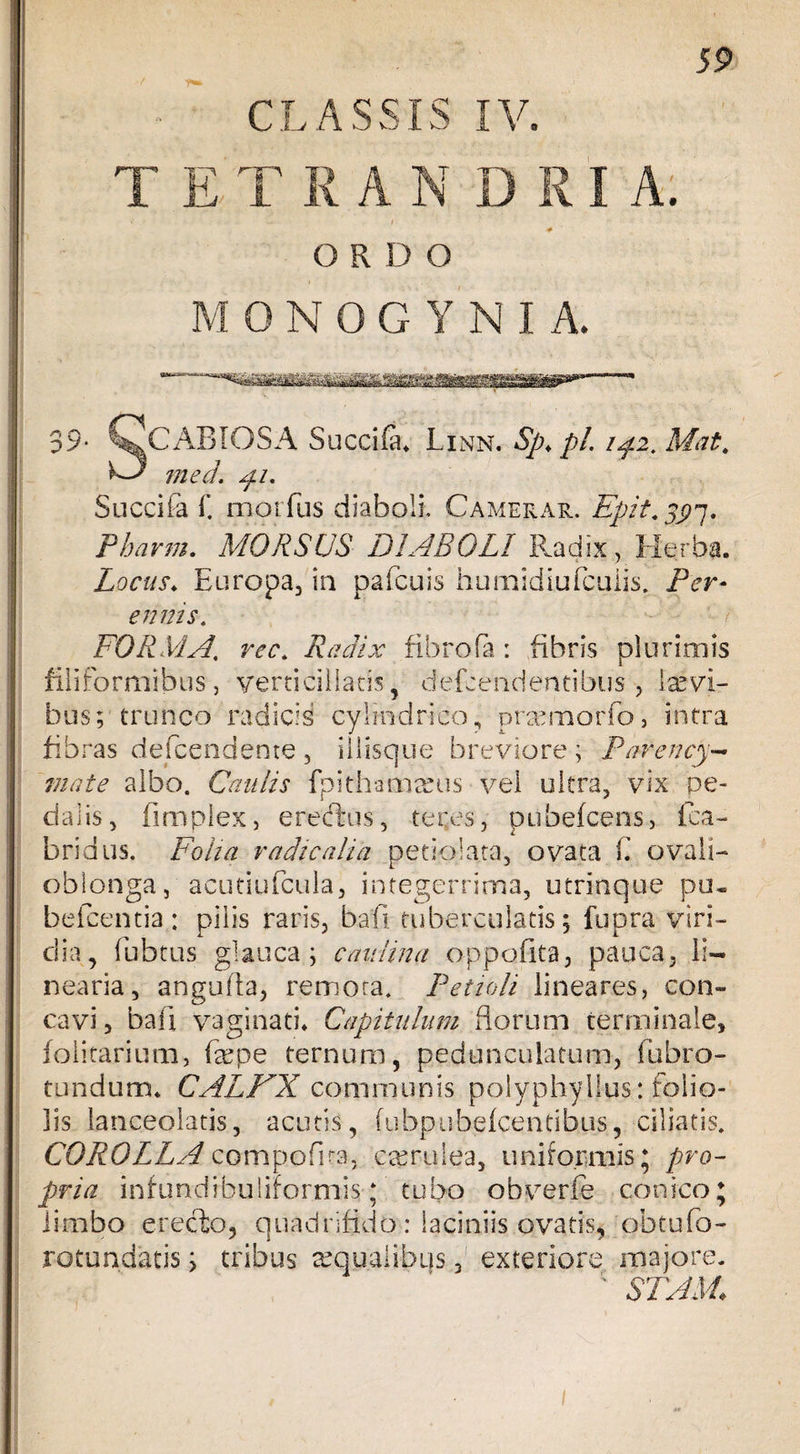 C L A S SIS IV. T E T RANDRI A. •' 1 «-»:■ | ' ORDO M ONOGY N I A* 39- CJ^CABIOSA Succifiu Linn. Sp.pl. ipi, Mat. med. Succifa f. morfus diaboli. Camerae.. Epit.397. Pharm. MORSUS DIABOLI Radix , Herba. Locus♦ Europa, in pafcuis humidiufcuiis. Per* e tinis. FORMA, rec. Radix fibrofa : fibris plurimis filiformibus, verticillatis, defcendentibus , laevi¬ bus; trunco radicis cylindrico, prxmorfo, intra fibras defcendente , iliisque breviore ; Par en cy¬ ma te albo. Caulis fpithamaeus vel ultra, vix pe¬ dalis, iimplex, eredlus, teres, pubefcens, fca- bridus. Folia radicalia petiolata, ovata fi ovali- oblonga, acutiufcula, integerrima, utrinque pu- befcentia: pilis raris, bafi tuberculatis; fupra viri¬ dia, fubtus glauca i caulina oppofita, pauca, li¬ nearia, angufia, remota. Petioli lineares, con¬ cavi , bali vaginati. Capitulum florum terminale, folitarium, fepe ternum, pedunculatum, flibro- tundum. CALFX communis polyphyllus: folio¬ lis lanceoiatis, acutis, (ubpubelcentibus, ciliatis. COROLLAcompofita, caerulea, uniformis; pro¬ pria infundibuliformis; tubo obverle conico; limbo erecto, quadrifido: laciniis ovatis, obtufo- rotundatis; tribus aqualibus, exteriore majore. ' FIAM. 1
