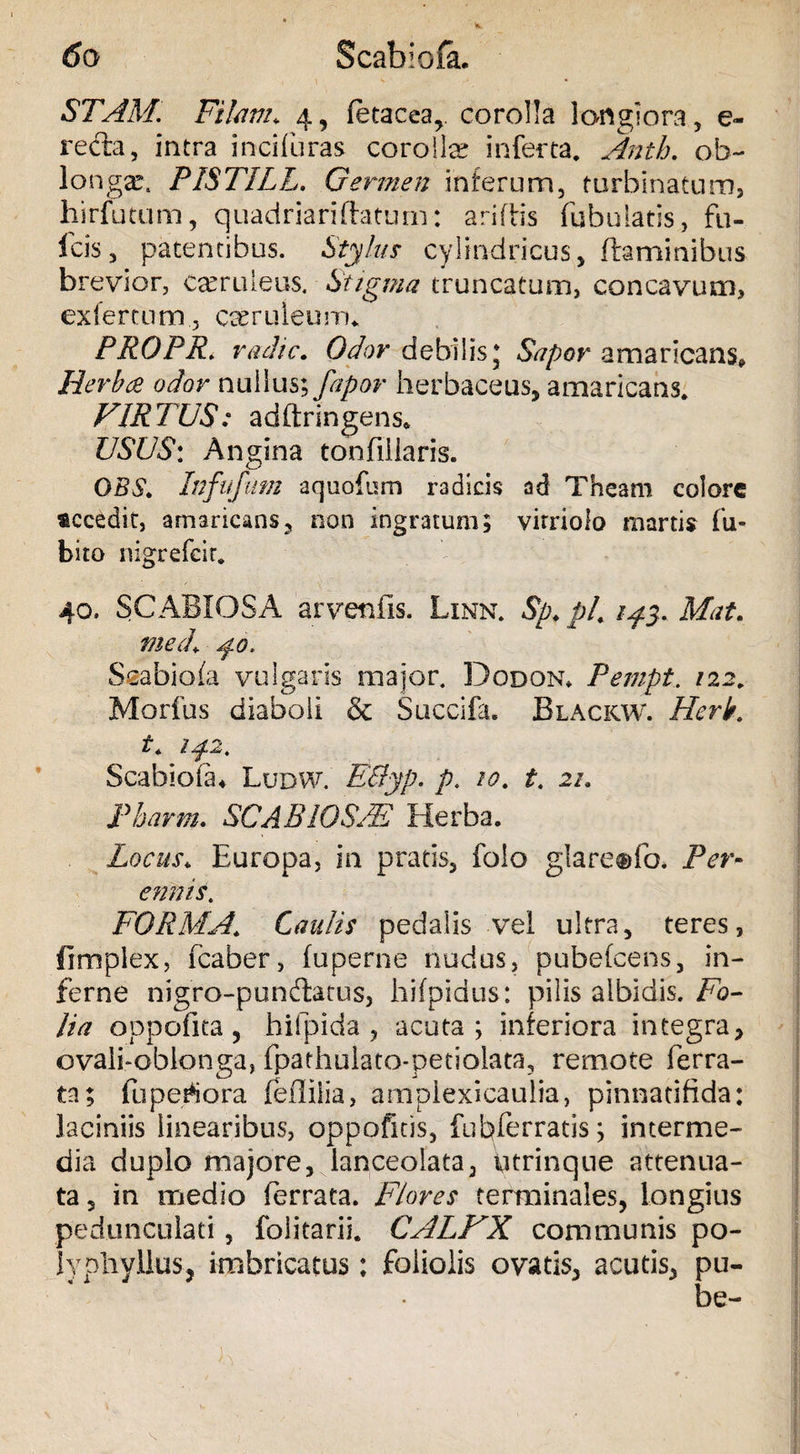 STAM. Filum. 4, fetacea,. corolla longiora , e- recla, intra incifuras corollx inferta, Antb. ob- longx. PISTILL. Germen inferum, turbinatum, hirfutum, quadriarifhtum: ariftis Tubulatis, fu¬ lcis, patentibus. Stylus cylindricus, flaminibus brevior, cxruleus. Stigma truncatum, concavum, exfercum, cemueum. PROPR. radie. Odor debilis* Sapor amaricans» Herba odor nullus; fapor herbaceus, amaricans. VIRTUS: adftringens* USUS: Angina tonfillaris. OBS. Infufum aquofum radicis ad Theam colore «ccedit, amaricans, non ingratum; virriolo martis fu- bito nigrefeit. 40. SCABIOSA arvetifis. Linn. $p. p/. 2^3. Mat. mecL po, Scabiofa vulgaris major. Dodon* Pempt. 122. Morius diaboli &amp; Succifa. Blackw. Herk. t. lsf.2. Scabiola* Ludw. EByp. p. 10. i. 22. Pharm. SCABIOSAE Herba. Locus* Europa, in pratis, folo glareefo. Per¬ ennis. FORMA.. Caulis pedalis vel ultra, teres, fimpiex, fcaber, fuperne nudus, pubefeens, in¬ ferne nigro-pundatus, hifpidus: pilis albidis. Fo¬ lia oppofica 5 hilpida , acuta; inferiora integra, ovali-oblonga, fpathulato-petiolata, remote ferra¬ ta; fu pecora feflilia, ampiexicaulia, pinnatiflda: laciniis linearibus, oppofitis, fuhferratis; interme¬ dia duplo majore, ianceolata, utrinqne attenua¬ ta , in medio ferrata. Flores terminales, longius pedunculaei, foiitarii. CALL A communis po- iypliyllus, imbricatus: foliolis ovatis, acutis, pu-