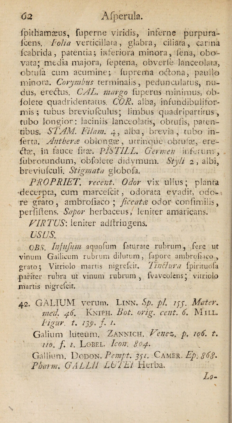 6-2 Afperuk. fpithamseus, fuperne viridis, interne purpura- Icens. Folia verticiliata, glabra, ciliata, canna icabrida, patentia; inferiora minora, fena, obo- vata; media majora, feptena, obverfe lanceolata, obtula cum acumine; ■ luprema odo na, paullo minora. Corymbus terminalis 5 pedunculatus, nu¬ dus, er edus. CAL. margo fuperus minimus, ob- folete quadridentatus, COR. alba, jnfundibulifor- rnis; tubus brevio (culus; limbus quadripartitus, tubo longior: laciniis lanceolatis, obtufis, paten¬ tibus. STARI-.. Filam. 4, alba, brevia, tubo in¬ ferta. Antbene oblonga?, utrinque. obtufse, ere- day in fauce fit ea. PISTILL. Germen ii ferum , fubrotundum, obfolete didymum. Styli 2, albi, breviufculi. Stigmata globofa. PROPRIET\ recent. Odor vix ullus; planta decerpta, cum marcebat, odorata evadit, odo¬ re grato 3 ambroiiaco ; Jiccatce odor confimilis, perfidens. Sapor herbaceus; leniter amaricans. VIRTUS: leniter adilriugens. USUS,. OBS. Infufum aquofum famrate rubrum, fere ut vinum Gallicum rubrum dilutum , fapore ambrofiaco , grato; Vitriolo marris nigrefcir. TinBura fpirituofa pariter rubra ut vinum rubrum , fvaveoitns* vitriolo na artis nigre Icit. 42. GALIUM verum. Linn. Sp. pL ifj. Mater. med. yiP Knieh. Bot. orig. cent. d Mill. Tigur. t+ no, /* n Galium luteum. Zannich. Venez, p. 206. t. ao. /♦ z. LoS-el. Icon: gop. Gallium. Dodon, Pempt, 3)~/. Camer. Ep. Pharm«. G ALLII LUThi Herba. Lo-
