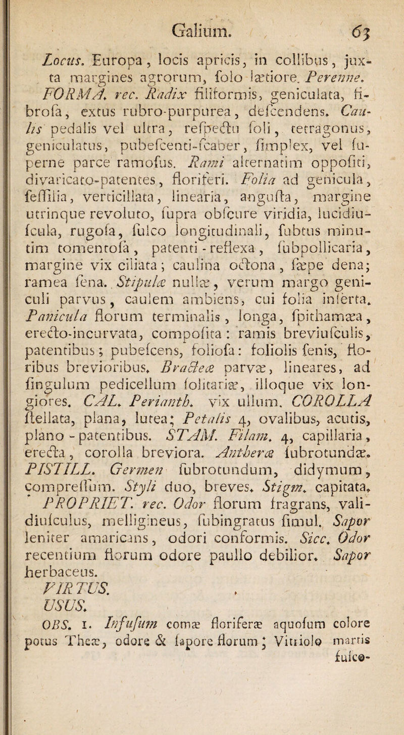Gallum» , 6j Locus. Europa, locis apricis, in collibus, jux¬ ta margines agrorum, folo fetiore. Perenne. FORMA, rec. Radix filiformis, geniculata, fi¬ bro fa , extus rubro-purpurea, defcendens* Cau¬ lis pedalis vel ultra, refpeftu foli, tetragonus, geniculatus, pubefcenti-fcaber, fimplex, vel fu- perne parce ramofus. Rami alternarim oppofiti, divaricato-patentes, floriferi, Folia ad genicula, fefliiia, verticillata, linearia, angufla, margine utrinque revoluto, fupra obfcure viridia, lucidiu- fcula, rugofa, fulco longitudinali, fubtus minu- tim tomentofa , patenti - reflexa , fubpollicarsa, margine vix ciliata; caulina ocflona , fa^pe dena; ramea fena. Stipula nulfe, verum margo geni¬ culi parvus, caulem ambiens, cui folia inferta* Panicula florum terminalis, longa, fpithamaea, ereclo-incurvata, compofita: ramis breviufculis, patentibus; pubefcens, foliofa: foliolis fenis, flo¬ ribus brevioribus» BraEtece parvae, lineares, ad Pinguium pedicellum (olitarfe, illoque vix lon¬ giores. CAL. Perianth* vix ullum. COROLLA flellata, plana, lutea; Petalis 4, ovalibus, acutis, plano - patentibus. STAAf. Filam. 4, capillaria , ereffo, corolla breviora. Anthera fubrotundx* PISTILL. Germen fubrotundum, didymum, ComprefluVn. Styli duo, breves* Stigm* capitata» PROPRIET\ rec. Odor florum fragrans, vali- diufculus, melligineus, fubingracus fimul. Sapor leniter amaricans, odori conformis. Sicc. Odor recentium florum odore paulio debilior* Sapor herbaceus. VIR TUS. USUS» OBS. 1« Lnfufnm comte florifera? aquofurn colore potus There, odoret iapore florum; Viti iolo marris fuk©-