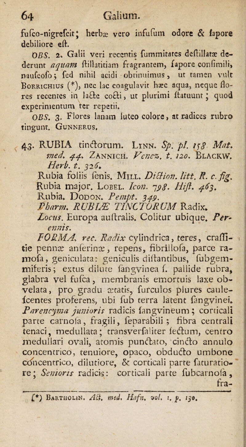 fufca-nigrefcit J herbse vero infufam odpre & fapore debiliore efE OBS. 2«. Galii veri recentis furnmitates deftillatae de¬ derunt aquam ftillatitiam fragrantem, fapore confimili» naufeofo j fed nihil addi • obtinuimus , ut tamen vult Borrichius (*), nec lac coagulavit hsc aqua, neque flo¬ res recentes in la£le co£li, ut plurimi ftatuunr 5 quod experimentum ter repetii, OBS. 3. Flores lanam luteo colore, at radices rubro tingunt, Gunnerus, 43. RUBIA tindorum. Linn. Sp. pl. 138 Mat. mecL 44, Zannici-l Vcncz. i. 120. Blackw. Hevh. t. 326* Rubia foliis fenis, Mxll, DiSHon. liti. R. c.fig,. Rubia major, Lobel. Icon. 398. Hijt. 46$. Rubia, Dodon, Pempt. 349. Pharm. RUBUE TINCTORUM Radix* Locus. Europa auftralis* Colitur ubique. Per* ennis. FORMA, ree. Radix cylindrica , teres 3 craffU tie pennae an ferinae’, repens, fibrillofa, parce ra- rnofa, geniculata: geniculis diflantibus, fubgem- miferis; extus dilute fangvinea f. pallide rubra, glabra vel fufea, membranis emortuis laxe oIn¬ velata , pro gradu aetatis^ furculos plures caule- fcentes proferens, ubi fub terra latent fangvinee Pavencywa junioris radicis iangvineum; corticali parte carnofa, fragili, feparabili ; fibra centrali tenaci, medullata; transverfaliter fedfum, centro medullari ovali, atomis pundtato, cinclo annulo concentrico, tenuiore, opaco, obdufto umbone cdhcentrico, dilutiore, & corticali parte futuratio- re; Senioris radicis: corticali parte fubcarnola 5 fra- [*) Barthoun» AcK wsd, Hafn♦ vol. 1, p, /30,