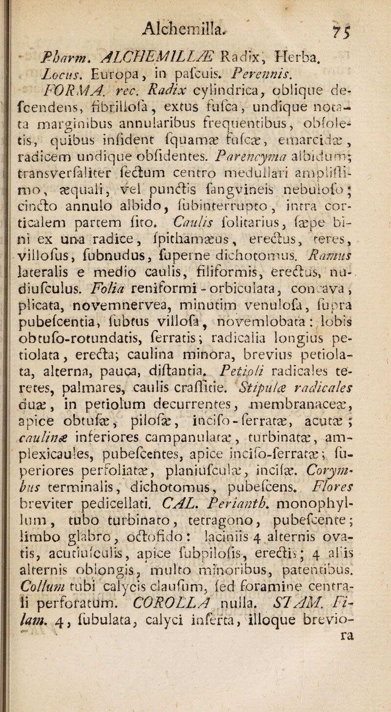 Pharm. ALCUEMILLJE Radix, Herba, Locus. Europa, in pafcuis. Perennis. FORMA■ w. Radix cylindrica,- oblique de- fcendens, fibrillola, extus fufca, undique nota¬ ta marginibus annularibus frequentibus, ob(ole¬ tis, quibus iniident fquamse fufcx, eroarcidse, radicem undique oblidentes. Parencyma albidum; transverlaliter fedium centro medullari ampiiffi- mo, aquali, vel pundtis fangvineis nebuiofo; cincto annulo albido, lubinterrupto , intra cor¬ ticalem partem fico* Caulis foiitarius, faqpe bi¬ ni ex una radice, Ipithamams, erectus, teres, villofus, fubnudus, fuperne dichotomus. Ramus lateralis e medio caulis, fiiiformis, eredtus, nu- diufculus. Folia reniformi - orbiculata, concava, plicata, novemnervea, minutim venulofa, fupra pubefcentia, fubfus viilofa, novemlobafa: lobis obtufo-rotundatis, ferratis; radicalia longius pe- tiolata, erecta; caulina minora, brevius petiola- ta, alterna, pauca, diftantia* Petioli radicaies te- petes, palmares, caulis craffitie. Stipulce radicales duse, in petiolum decurrentes, membranacea, apice obtufe, piiofe, incifo- (erratae, acutse 1 caulina inferiores campanula.tse, turbinatae, am- plexicaules, pubefcentes, apice incifo-ferratse; fu- periores perfoliatre, planiufcute, incife. Corym¬ bus terminalis, dichotomus, pubefcens*. Flores breviter pediceilati. CAL. Perianth♦ monophyl- lum, tubo turbinato, tetragono, pubefcente; limbo glabro, odtofido: laciniis 4 alternis ova» tis, acutiufculis, apice fubpiiofis, eredtis; 4 aliis alternis oblongis, multo minoribus, patentibus. Collum tubi calycis elautum, fed foramine centra¬ li perforatum. COROLLA nulla. SLAM\ Fi- lam. 4, fubulata, calyci inferta, illoque brevio-