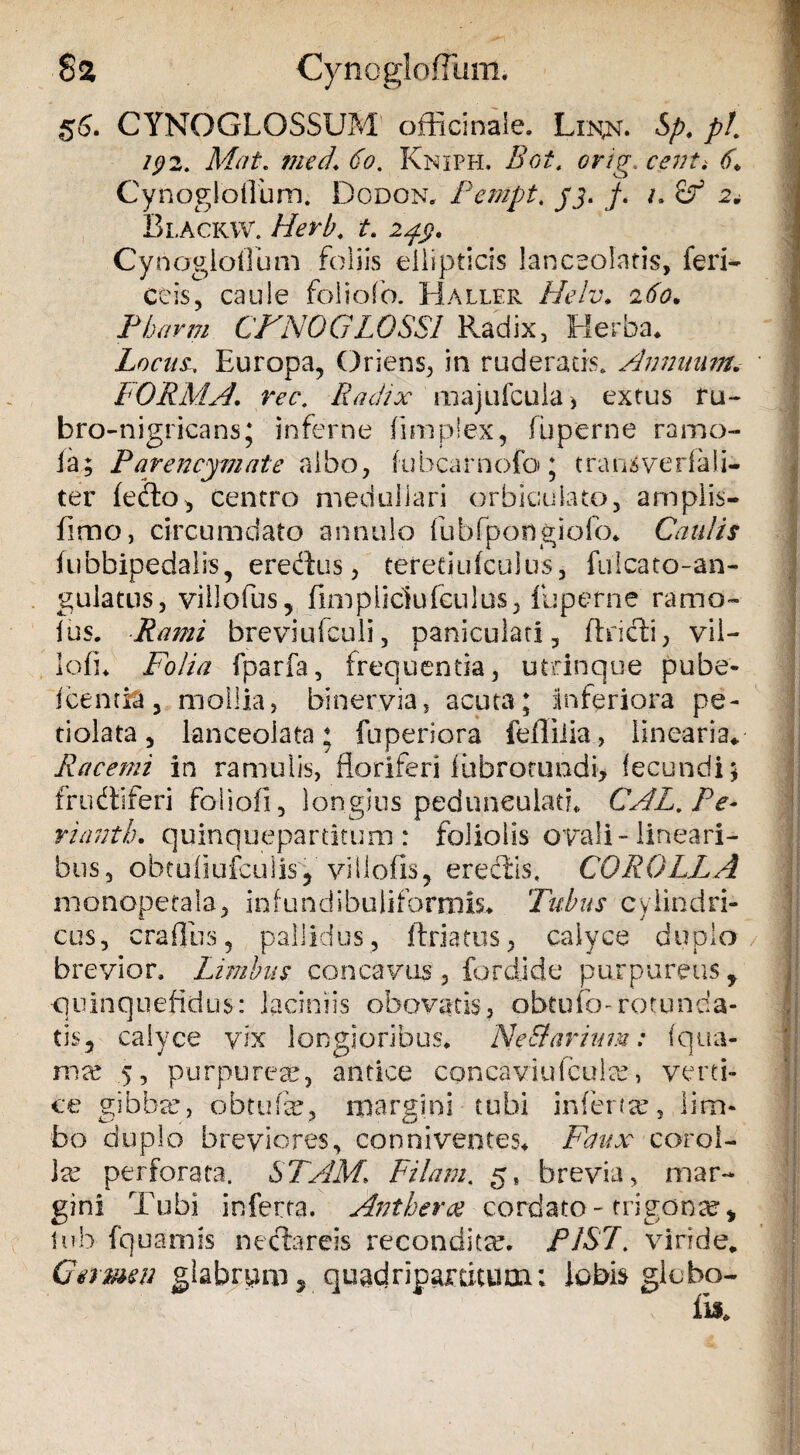 56. CYNOGLOSSUM offici nale. Lin,n. Sp. pl. 192. Mat. med\ 60. Kniph. 2?0/. tf. Cynogloflbm. Dodon. Penipt. jj. /. /, 2. Blackw. Herb. t. 2^3?. Cynogioflum foliis ellipticis lanceolntis, feri- ceis5 caule foliolo. Haller Helv. 260. Pbarm CTN0GL0SS1 Radix, Herba. Locita Europa, Oriens, in ruderatis. Annuum. FORMA, ree. Radix majufcula, extus ru- bro-nigricans; inferne fimplex, fu perne ramo- ia; Parencyniate albo, fubcarnofo; tran^verfali- ter (edo, centro medullari orbiculato, amplis- fimo, circumdato annulo fubfpongiofo. Caulis fubbipedalis, eredus, teretjufculus, fulcato-an- gulatus, villofus, (impiidufeulus, (operae ramo- fus. Rami breviufculi, paniculati, (hidi, vii- lo(i. Folia fparfa, frequentia, utrinque pube- icemif, mollia, biner.via, acuta; inferiora pe- tiolata, knceolata; fuperiora feffiiia, linearia. Racemi in ramulis, floriferi iiibrotundi, fecundi; frudiferi foiiofi, longius peduneulad. CAL. Fe¬ rt anth. quinquepartitum : foliolis ovali-lineari¬ bus, obtuflufculisy viilofis, eredis, COROLLA monopetala, in fundibuli formis. Tubus cylindri¬ cus, craflus, pallidus, (friatus, calyce duplo brevior. Limbus concavus , fordide purpureus, quinqnefldus: laciniis obovatis, obtuio-rotunda¬ tis, calyce vix longioribus. Ne diarium: fqua- mx 5, purpureae, antice cpncaviufcula?, verti¬ ce gibbae, obtufe, margini tubi infert se, lim¬ bo duplo breviores, conniventes. Faux coroi- ise perforata. STAM. Filam. 5, brevia, mar¬ gini Tubi inferta. Ant herae cordato-trigona, lnb fquamis ne da re is recondita?. PJST. viride. Carmen glabram, quadripardami; lobis glebo-