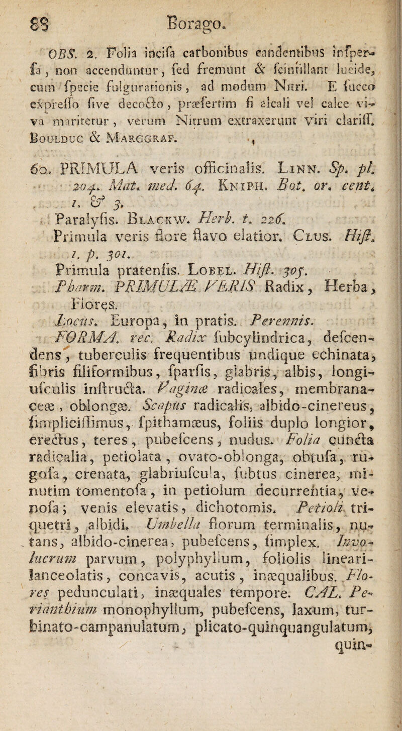 d1 OBS. 2. Folia indfa carbonibus candentibus infper-* fa , non accenduntur, fed fremunt & fcintillant lucide^ cum fpecie fulgurationis, ad modum Nitri. E luceo cxpireffo fi ve decofto , prteferfim fi alcali vel calce vi-* va maritetur , verum Nitrum extraxerunt viri clarilfl Bouldug & Marggraf. , 6o* PRIMULA veris officinalis. Linn. Sp. pla ■ 20$. MaU med. 6p, Kmiph» B<xt. or. cent* Paralyfis. Blackw* Heri, i* 226\ Primula veris flore flavo elatior* Clus. Hifi> 2. p. 302. Primula pratenfis. Lobel. Hift. 30J, Pbarm* PRIMULM VEIUS Radix, Herba, Flores. Locus. Europa 5 in pratis. Perennis. FORMA, recl Radix fubcylindrica, defeen- dens, tuberculis frequentibus undique echinata, fibris filiformibus, fparfis, glabris, albis, longi- ufculis inft ructa. Vagina radicaies, membrana- Ceas, oblongas. Scapus radicadis, albido-cinereus, ftmpliciffimus, fpithamseus, foliis duplo longior, eredlus, teres, pubefeens* nudus. Folia cuncta radicalia, petiolata , ovato-oblonga, obtufa, ru- gofa, crenata, glabriufcuia, fubtus cinerea, mi- nutim tomentofa, in petiolum decurrentia, ve- nofa; venis elevatis, dichotomis. Petioli tri¬ quetri , albidi* Umbella florum terminalis, nu¬ tans, albido-cinerea, pubefeens, fimplex, Invo^ lucrum parvum, polyphylium, foliolis lineari- lanceolatis, concavis, acutis, inaequalibus. Flo¬ res pedunculari, inaequales tempore. CAL. Pe- riantbium monophyllum, pubefeens, laxum, tur- binato-campanulaturB, plicato-quinquangulatuirq