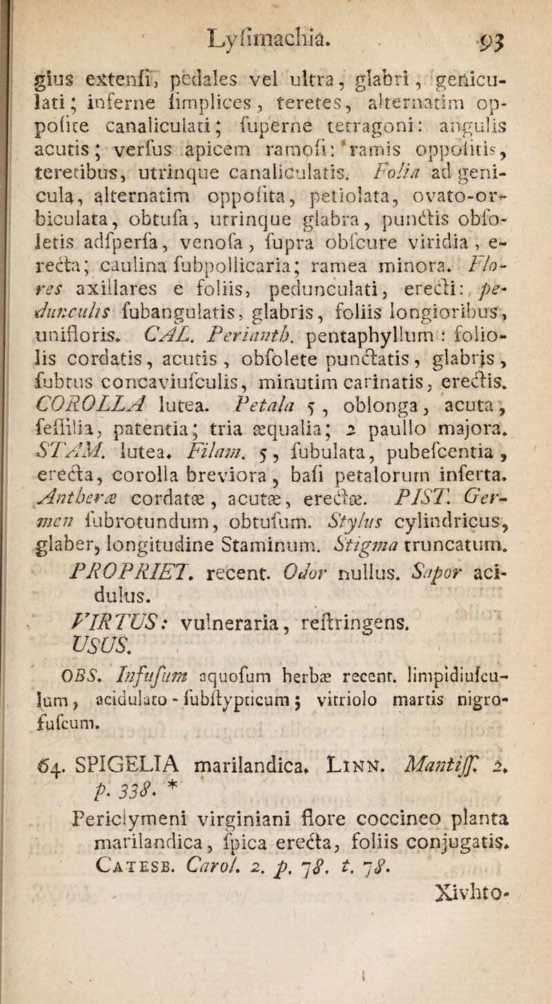 glus extenfi, pedales vel ultra, glabri, genicu¬ lati; inferne limplices, teretes, alternarim op- polite canaliculati; fuperne tetragoni: angulis acutis; verius apicem rarnofl:'ramis oppeditis, teretibus, utrinque canaliculatis. Folia ad geni¬ cula, alternatim oppofita, petiolata, ovato-or«- biculata, obtufa, utrinque glabra, pundis obfo- letis adfperfa, venofa, fupra obicure viridia, e~ recta; caulina fubpollicaria; ramea minora* Flo¬ res axillares e foliis, pedunculari, eredi: pe* Funeulis fubangulatis, glabris, foliis longioribus, unifloris* GAL. Periantb. pentaphyllum : folio¬ lis cordatis, acutis , obfolete punctatis , glabris , fubtus concaviufculis, minutim carinatis, eredis. COROLLA lutea. Petala 5, oblonga, acuta, feffilia, patenda; tria eequalia; 2 paullo majora* STAM. lutea* Filam. 5, fubulata, pubefcentia , ereda, corolla breviora, bali petalorum inferta. Antbera cordatae , acutae, eredee. PIST Ger¬ men fubrotundum, obtufum. Stylus cylindricus, glaber, longitudine Staminum. Stigma truncatum* PROPRIET. recent. Odor nullus. Sapor aci¬ dulus. VIRTUS: vulneraria, refer in gens. usus. , ; : OBS. Infufttm aquofum herbas recent. 1 inipidiufeil¬ lum , acidulato - fubftypticum 5 vitriolo martis nigro- fufeum. 64. SPIGELIA marilandica* Linn. Mantiffl 2* p> 33$* * Periclymeni virginiani flore coccineo planta marilandica, fpica ereda, foliis conjugatis* Catesb. CaroL 2, p, n$. i, 7^. Xivhto- \ 1