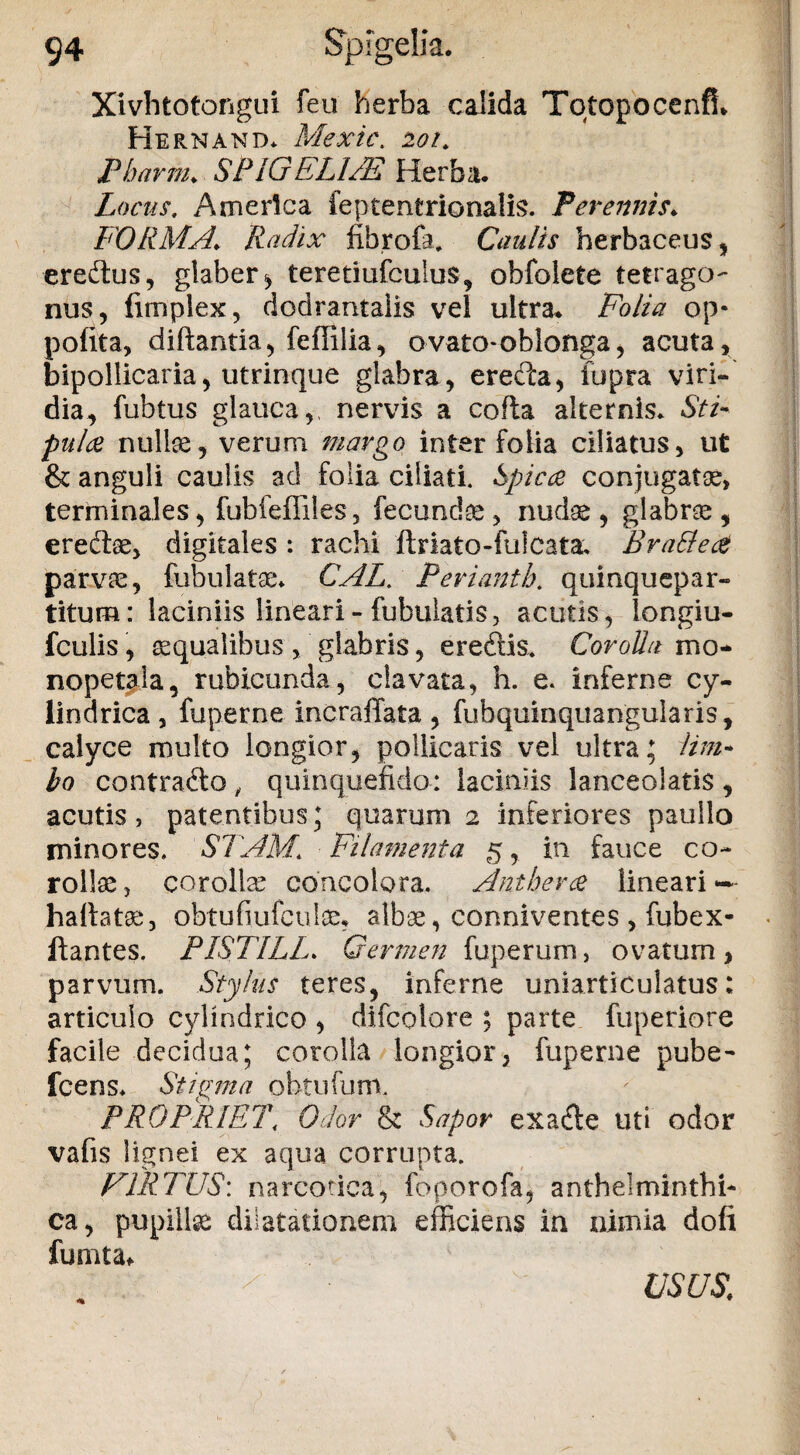 Xivhtotongui feu herba calida Tqtopocenfi* Hernand* Mexic. 201. Pharm. SPIGELUE Herba. Locus. America feptentrionalis. Perennis. FORMA\ Radix fibrofa. Caulis herbaceus, eredus, glaber, teretiufculus, ohfolete tetrago- nus, (implex, dodrantalis vel ultra. Folia op* pofita, diftantia, feffilia, ovato-oblonga, acuta, bipollicaria, utrinque glabra, erecta, iupra viri¬ dia, fubtus glauca,, nervis a coda alternis. Sti¬ pula nuite, verum margo inter folia ciliatus, ut & anguli caulis ad folia ciliati. Spicee conjugatos, terminales, fubfeffiles, fecundos, nudae, glabrae, eredae, digitales : rachi ftriato-fulcata, BraBece parvae, fubulatae* CAL. Periantb. quinquepar¬ titum: laciniis lineari-fubuiatis, acutis, iongiu- fculis, aequalibus , glabris, eredis. Corolla mo- nopetala, rubicunda, clavata, h. e. inferne cy¬ lindrica, fuperne incralfata, fubquinqusngularis, calyce multo longior, pollicaris vel ultra; lim¬ bo contrado , quinquefido: laciniis lanceolatis , acutis, patentibus; quarum 2 inferiores paullo minores. STAM. Filamenta 5, in fauce co¬ rollae , corollae concolora. Antberce lineari — haftatae, obtufiufcute, albae, conniventes , fubex- ftantes. PISIILL* Germen fuperum, ovatum, parvum. Stylus teres, inferne uniarticulatus: articulo cylindrico , difcolore ; parte fuperiore facile decidua; corolla longior, fuperne pube- Icens. Stigma obtufum. PROPRIET\ Odor & Sapor exade uti odor vafis lignei ex aqua corrupta. VIRTUS: narcotica, foporofa, anihelminthi- ca, pupilte dilatationem efficiens in nimia dofi fumta* USUS.