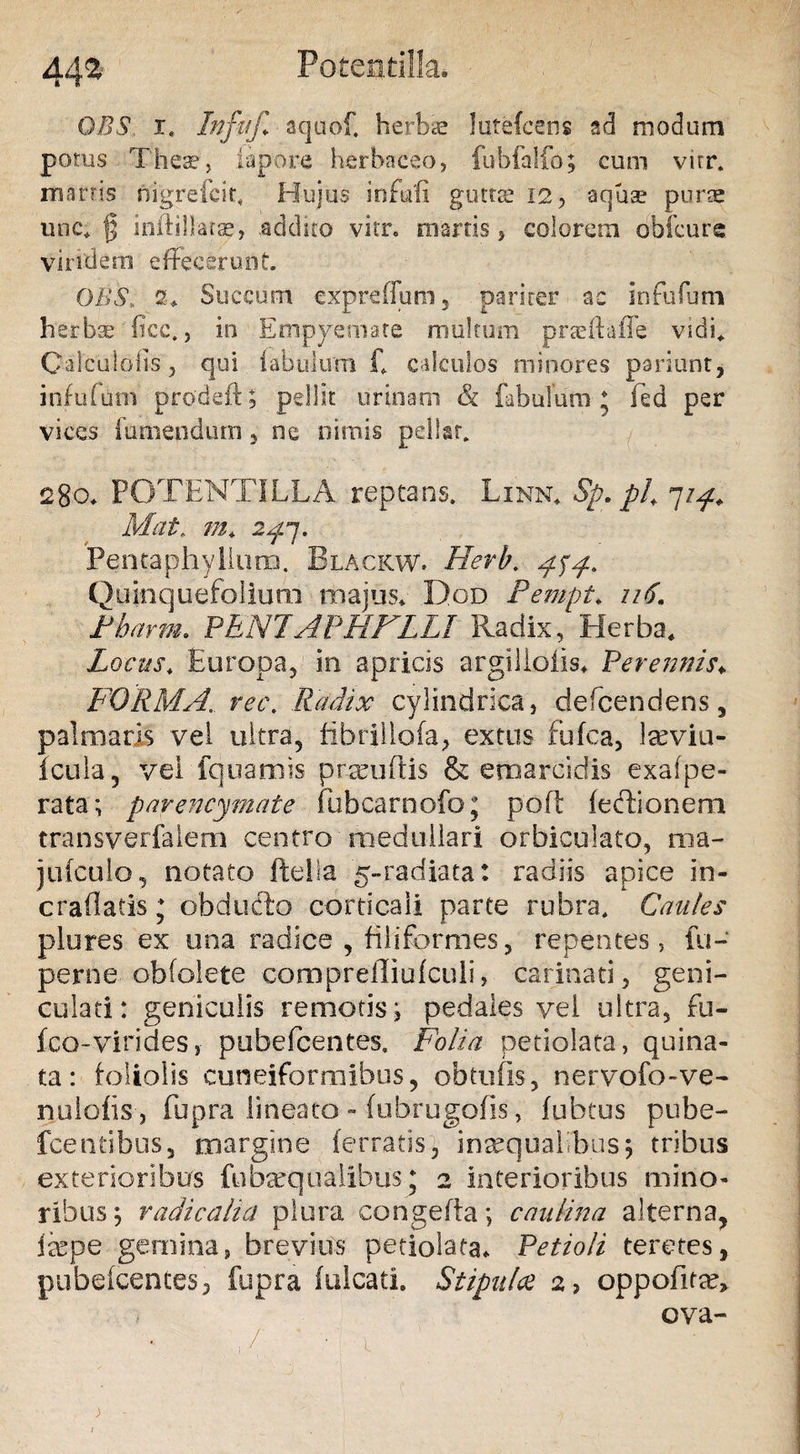 Potenti lia* 44* OBS i. Infitjl aquof. herbae lutefcens sd modum potus These, iapore herbaceo, fubfalfo; cum virr. marris nigrefcit, Hujus infofi guttse 12, aquae purae une. f; inflillarse, .addico vitr. marris, colorem obfcurg viridem effecerunt. OBS,„ 2. Succum expreflum, pariter ac infufum herbae licc., in Empyemate multum praeftaffe' vidi* Oalculofis, qui labulum £ calculos minores pariunt, infufum prodeft; pellit urinam &amp; fabulum* fed per vices iurnendum , ne nimis pellar. 280* POTENTILLA reptans. Linn. Sp.pl, 7 Mat. m, 2*pj. Peiitaphylluro. Blackw. Herb. 454. Quinquefolium majus* Dod Pempt, 116\ Pbarm. PENJAPHFLLI Radix, Herba* Locus, Europa, in apricis argilioiis. Perennis♦ FORMA., rec. Radix cylindrica, defeendens, palmaris vel ultra, fibrillofa, ex tus fufea, Ireviu- Icula, vel fquamis praeiiftis &amp; ernarcidis exafpe- rata; parencymate fubcarnofo; poft lectionem transverfalem centro medullari orbiculato, ma- julcuio, notato fteiia 5-radiata: radiis apice in- cradatis * obducto corticali parte rubra. Caules plores ex una radice , filiformes, repentes, fu- perne obfolete comprelliulculi, carinati, geni¬ culati: geniculis remotis i pedales vei ultra, fu- fco-virides, pubefeentes, Folia petiolata, qui na¬ ta : foliolis cuneiformibus, obtufis, nervofo-ve- nulolis , fupra lineato - fubrugofis, lubtus pube- fcentibus, margine (erratis, inaequalibus $ tribus exterioribus fubrequaiibus; 2 interioribus mino¬ ribus ; radicalia plura congefia; caulina alterna, ixpe gemina, brevius petiolata* Petioli teretes, pubelcentes, fupra falcati. Stipula 2, oppofitee, ova- >