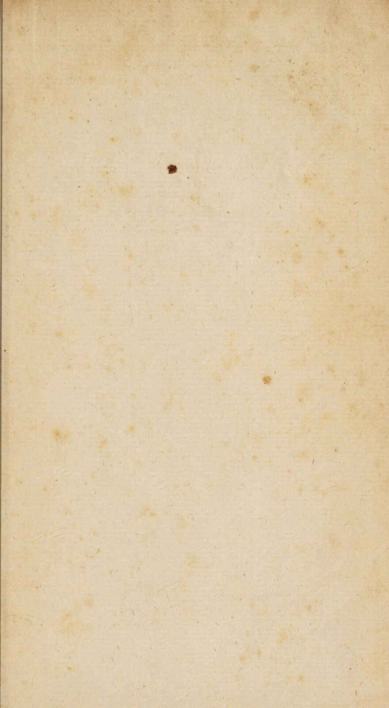 ' <} V ■ ■ ■: ■ ■ t . \ - ' .'V ' - ‘ Wr' • . • t . 'i.