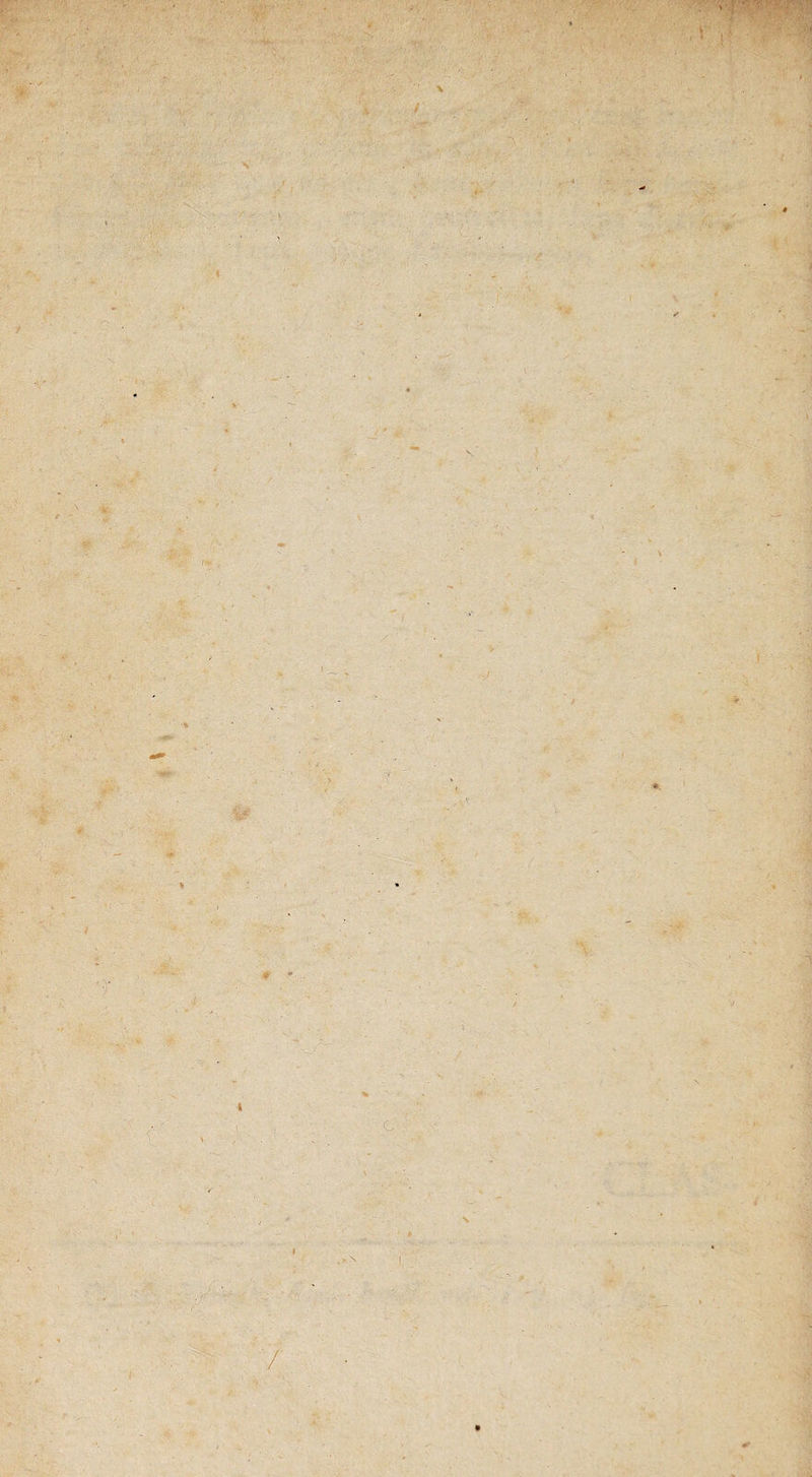 * / r \ ■ - , V ; ; ly* , I ■ i \ a , *