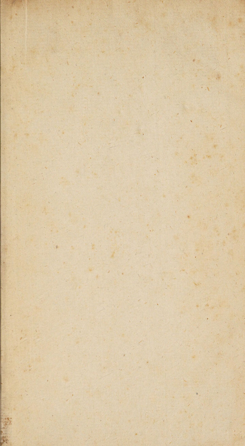 / r ■ i-t' ' - < ✓ ✓