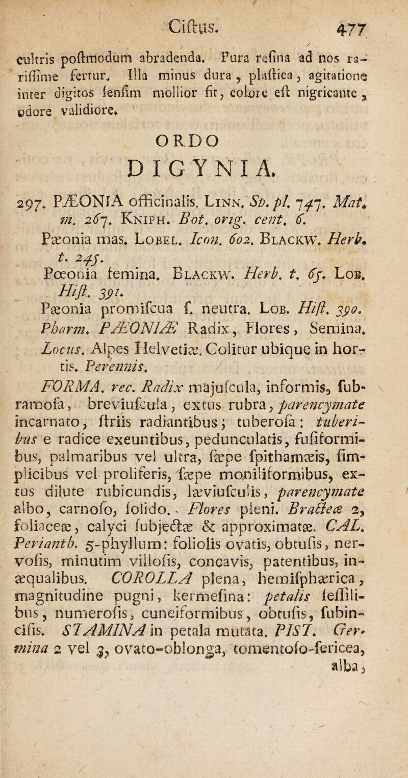 . / cultris poftmodum abradenda. Pura refina ad nos ra- riflime fertur. Illa minus dura , plaffica , agitatione inter digitos lenfim mollior fit, colore eil nigricante a odore validiore* ORDO D I G Y N I A. 297. PiEONlA officinalis, Linn/&*/>4 7^7. Mat* m. 267. Kniph. Bot. ong. cent, tf. Pceonia mas* Lobel* 602. Blackw* t. 2p^. Poeonia femina. Blackw. Herb. tfj* Lob. Hift. 3p/* Pronia promifeua £ neutra. Lgb. Hift; Pbarm* P/EQN1JE Radix, Flores , Semina. Locus. Alpes Helvetia. Colitur ubique in hor¬ tis. Perennis. FORMA. zw. Radix majufcula, informis, fub- ramoia, breviufctrla , extus rubra, parencymate incarnato, ftriis radiantibus, tuberofa: tuberi¬ bus e radice exeuntibus, pedunculatis, fufiformi- bus, palmaribus vei ultra, fkpe fpithamaeis, fim- plicibus vei proliferis, fepe moniliformibus, ex¬ tus dilute rubicundis, lceviufculis, parencymate albo, carnofo, iolido., Flores pleni. BraBece 2, foliacese, calyci fubjedfce & approximate. CAL> Periantb. g-phyllurn: foliolis ovatis, obtufis, ner- vofis, minutim villofis, concavis, patentibus, in- ecqualibus. COROLLA plena, hemifphaerica , magnitudine pugni, kermefina: petalis leflili- bus, numerofis, cuneiformibus, obtufis, fubin- cifis* STAMINA in petala mutata. FISH Gev* mina 2 vel 3, ovato-oblonga, tomentofo-fericea, alba 3 V