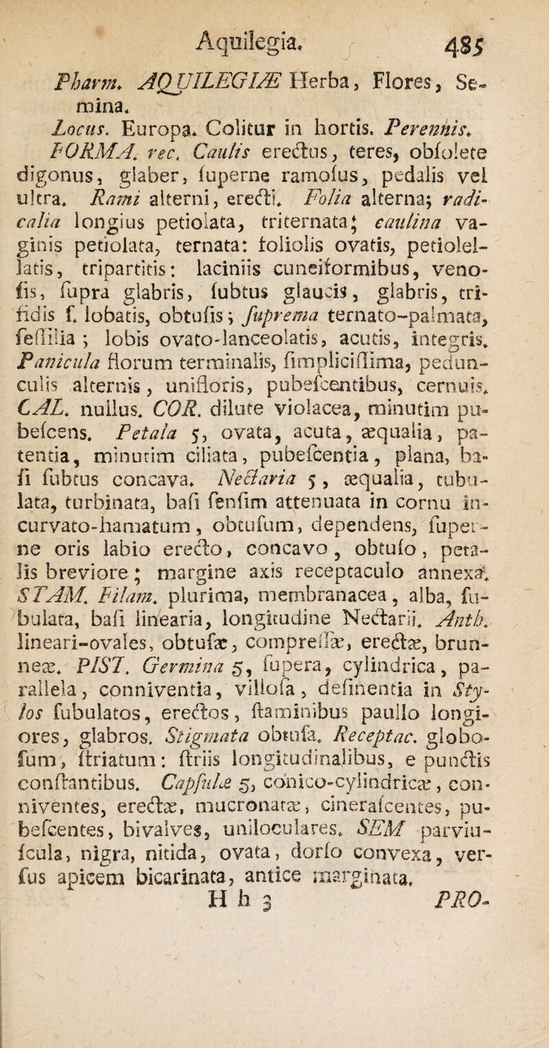 Aquilegia. j 4 85 Phavm♦ AQUILEGI/E Herba, Flores, Se¬ mina* Locus. Europa* Colitur in hortis. Perennis* FORMArec, Caulis eredtus, teres, obfolete digonus, glaber, fuperne ramofus, pedalis vel ultra* Rami alterni, eredd* Folia alterna; radi- calta longius petioiata, triternata} eaalina va¬ ginis petioiata, ternata: foliolis ovatis, petiolei- Jatis, tripartitis: laciniis cuneiformibus, ve no¬ tis , fupra glabris, fubtus glaucis, glabris, tri¬ fidis f* lobatis, obtufis; fuprema ternato-palmata, feflilia ; lobis ovato-lanceolatis, acutis, integris* Panicula florum terminalis, fimpliciilima, pedun¬ culis alternis, unifloris, pubefcentibus, cernuis* CAL. nullus* COR. dilute violacea, minuticn pu~ befcens. Petala 5, ovata, acuta, aequalia, pa¬ tenda, minutim ciliata, pubefcentia, plana, ba- fi fubtus concava* Ne&aria 5, sequalia, tubu¬ lata, turbinata, bafi fenfim attenuata in cornu in» curvato-hamatum, obtufum, dependens, Fuper- ne oris labio erecto, concavo, obtulo, peta¬ lis breviore; margine axis receptaculo annexa* STAM. Filum, plurima, membranacea, alba, fa¬ bulata, bafi linearia, longitudine Nectarij* Anth. lineari-ovales, obtufe, compreffse, eredxe, brun- nex. PIST* Germina'5, fu pera, cylindrica, pa¬ rallela, conniventia, villofa, definentia in Sty¬ los fabulatos, erectos, flaminibus paullo longi¬ ores, glabros. Stigmata obiufa* Receptae. globo fum, ftriatum: ftriis longitudinalibus, e punctis conflantibus. Capfuhz g, conicocylindricar, con- niventes, erecta, mucronatae, cinerafcentes, pu- befcentes, bivalves, uniloculares* SEM parviu- fcula, nigra, nitida, ovata, dorfo convexa, ver- fus apicem bicarinata, antice marginata, H b 3 PRO-