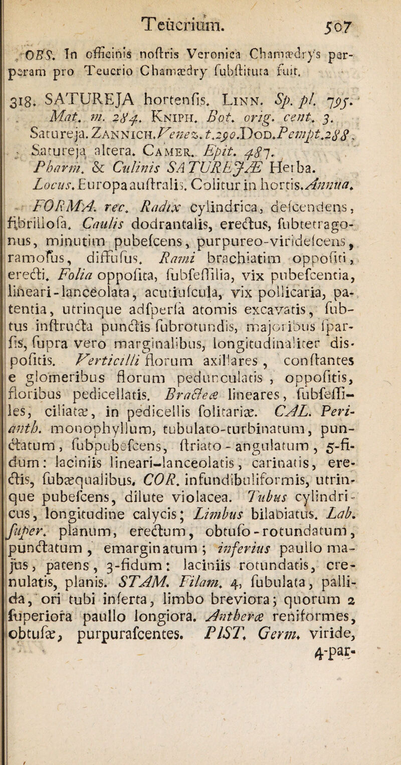 0#S\ In officinis noftris Veronica Charnfcdrys per¬ peram pro Teucrio Chamasdry fubftiuua fuit, 318. SATUREJA hortenfis. Linn. Sp. p/. yyy. Mat. m. Kniph. Bot. orig> e e ut, 3. Satureja. Zannich. Ve ne %. i. 2j? .Dod.A^ U2<f„ - Satureja altera. Camer. Epii. pSp. Pharml & Culinis SATURE Heiba. Locus. Europa au Aralis. Colitur ia hortis .Annua. FORMA. rec. Radix cylindrica, defeendens, fihriiioia. Caulis dodrantalis, erectus, fubtetrago- nus, minutior pubefeens, purpureo-virideicens 9 ramoFus, diffufus. Rami brachiatim oppoiiti, erecti. Folia oppofita, fubfeflilia, vix pubefeentia, lineari - ianceolata, acutiufcula, vix pollicaria, pa¬ tentia, utrinque adfperfa atomis excavatis, fub- tus inftructa punctis fubrotundis, majoribus ipar- fts, fupra vero marginalibus, longitudinaliter dis* pofitis. Verticilli florum axillares , conflantes e glomeribus florum pedu neu latis , oppofltis, floribus pcdiceilatis. BraSlea lineares, fubfefli- les, ciliatte, in pedicellis folitarise. CAL. Peri- antb. monophyllum, tubulato-turbinatum, pun¬ ctatum , fubpubefcens, flriato - angulatum , 5-fi- dum: laciniis lineari-lanceolatis, carinatis, ere¬ ctis, fuba^qualibus, COR. infundibuliformis, utrin¬ que pubefeens, dilute violacea. Tubus cylindri¬ cus, longitudine calycis; Limbus bilabiatus. Lab. fuper. planum, eredtum, obtufo-rotundatum, pundtatum , emarginatum ; inferius paullo ma¬ jus, patens, 3-fidum: laciniis rotundatis, cre- nulatis, planis. STAM. Filam. 4, fubulata, palli¬ da, ori tubi inferta, limbo breviora; quorum 2 fuperiora paullo longiora. Antbera reniformes, obtufse, purpurafeentes. PIS1\ Gemi♦ viride, ! ' ■ 4-par- f