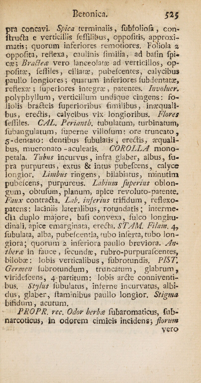 pra concavi Spica terminalis, fubfoliofa, con- ftrufta e verticillis feffilibus, oppofitis, approxi¬ matis; quorum inferiores remotiores. Foliola % oppofita, reflexa, caulinis fimiiia, ad bafin fpi«® c&; BraEleae vero lanceolatos ad verticillos, op¬ pofita:, fefliies, ciliata, pubefcentes, calycibus paullo longiores; quarum inferiores fubdentatx* reflexa5; fuperiores integras, patentes. Involucr. polypbyllum, verticillum undique cingens: fo¬ liolis brafteis fuperioribus fimiiibus, inaequali¬ bus, eredis, calycibus vix longioribus. Flores fellites. CAL. Perianih. tubulatum, turbinatum* fubangulatum, fuperne viliofum : ore truncato 9 g-dencato: dentibus fubulatis , erectis, aquali¬ bus, mucronato-aculeatis. COROLLA mono- petala. Tubus incurvus, infra glaber, albus, fu- pra purpureus, extus & intus pubefeens, calyce longior. Limbus ringens, bilabiatus, minutim pubefeens, purpureus. Labium fuperius oblon¬ gum, obtufum, planum, apice re volu?o-pa tente* Faux contrada. Lab. inferius trifidum, reflexo- patens: laciniis lateralibus, rotundatis; interme¬ dia duplo majore, bafi convexa, fulco longitu¬ dinali, apice emarginata, ereda. STAM. Filam. 4* fubulata, alba, pubefeentia, tubo inferta, tubo lon¬ giora; quorum 2 inferiora paullo breviora. An- t herae- in fauce, fecundae, rubro-purpurafeentes, bilobae: lobis verticalibus, fubrotundis. PIS7f Germen fubrotundum, truncatum, glabrum% viridefeens, 4-partitum: lobis arde conniventi- bus. Stylus lubulatus, inferne incurvatus, albi¬ dus, glaber, flaminibus paullo longior. Stigma bifidum, acutum. PROPR, rec. Odor herbee fubaromaticus, fub- narcoticus, in odorem cimicis incidens; florum yer q