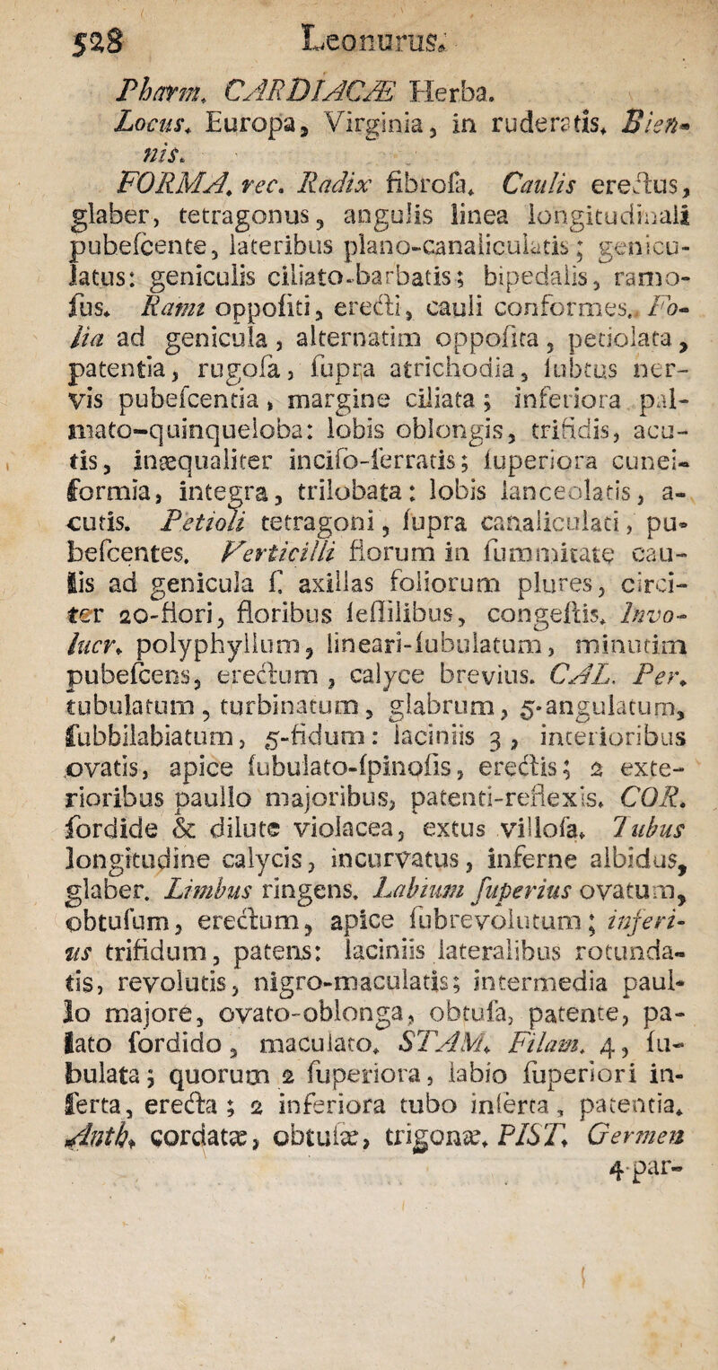 58$ Leonurus;'- Pbarm. CAR DI AC Ad Herba, Locus, Europa, Virginia, in ruderatis* Bien* nis. FORMA, rec. Radix fibrofa* Caulis ere i rus, glaber, tetragonus, angulis linea longitudinali puhefcente, lateribus plano-canaliculatis; genicu¬ latus: geniculis ciliato-barbatis-; bipedalis, ramo- fus* Rami oppofiti, erecti, cauli conformes., Fo¬ lia ad genicula , alternarim oppofua 5 petiolata, patentia, rugofa, fupqa atrichodia, lubtus ner¬ vis pubefcentia, margine ciliata ; inferiora pal¬ ma to-quinqueloba: lobis oblongis, trifidis, acu¬ tis, inaequaliter incifo-ierratis; iuperiora cunei¬ formia, integra, trilobata: lobis ianceolatis, a- cutis. Petioli tetragoni, fupra canaliculati, pu® hefcentes. Verticilli florum in lummitate cau¬ lis ad genicula £ axillas foliorum plures, circi¬ ter ao-fiori, floribus leflilibus, congeftis* Invo- lucr, polyphyilum, lineari-fubulatum, minutim pubefceos, eredum , calyce brevius. CAL. Per, tubulatum, turbinatum, glabrum, 5*angulatum, fubbilabiatum, 5-fidum: laciniis 3, interioribus ovatis, apice fubulato-fpinofls, eredis; 2 exte¬ rioribus paullo majoribus, patenri-reflexis* COR, fordide & dilute violacea, extus .villofa» 7ubus longitudine calycis, incurvatus, inferne albidus, glaber. Limbus ringens. Labium fuperius ovatum, obtufum, eredum, apice fubrevolutum; inferi- tis trifidum, patens: laciniis lateralibus rotunda* tis, revolutis, nigro-maculatis; intermedia paul¬ lo majore, ovato-oblonga, obtufa, patente, pa¬ lato fordido, maculato* STAM\ Filam, 4, fa¬ bulata; quorum.fi fuperiora, labio fuperiori in¬ ferta, ereda ; 2 inferiora tubo inlerca, patentia* Antb* cordatas, obtufe, trigona?* PIST, Germen 4* par-