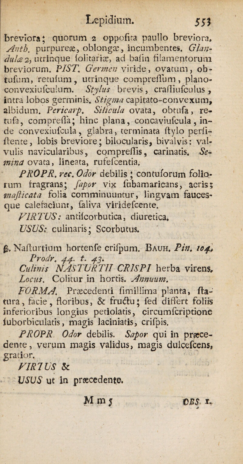 breviora; quorum 2 oppofita paullo breviora, Antb, purpureae, oblongae, incumbentes. Glan¬ dii/a 2; utrin-que (alitaris, aci baiin filamentorum breviorum. PIST\ Germen viride, ovatum, ob » tufum, re tu funi , utrinque compreflum , plano» convexiufcuiuro. Stylus brevis , crafliufculus , intra lobos germinis. Stigma capitato-convexum, albidum. Pericarp. Silicula ovata, obtufa > re- tufa, comprefla; hinc plana, concaviufcula, in¬ de convexiufcula , glabra, terminata ftylo pedi- flente, lobis breviore; bilocularis* bivalvis: val¬ vulis navicularibus, compreflls, carinatis. Se¬ mina ovata, lineata, rufefcentia. PROPR. m. Odor debilis ; contuforum folio¬ rum fragrans; fapor vix fabamaricans, acris 1 mafticata folia comminuuntur, lingvam fauces¬ que calefaciunt, faliva viridefcente. VIRTUS: antifcorbutica, diuretica. USUS:, culinaris; Scorbutus. 0, Nafturtiura bortenfe crilpum. Bauh. Pin\ 104* Prodr, 44. t. ^5* Culinis NASTURTII CRISPI herba virens,. Locus. Colitur in hortis. Annuum. FORMA\ Praecedenti fimillima planta, fla¬ tura, facie, floribus, & fru&u; fed differt foliis inferioribus longius petiolatis, circumfcriptione fuborbiculatis, magis laciniatis, crifpis. PROPR Odor debilis. Sapor qui in p ne ce¬ dente , verum magis validus, magis dulcefcens* gratior. VIRTUS & USUS ut in praecedente. M m 5 $£$, **