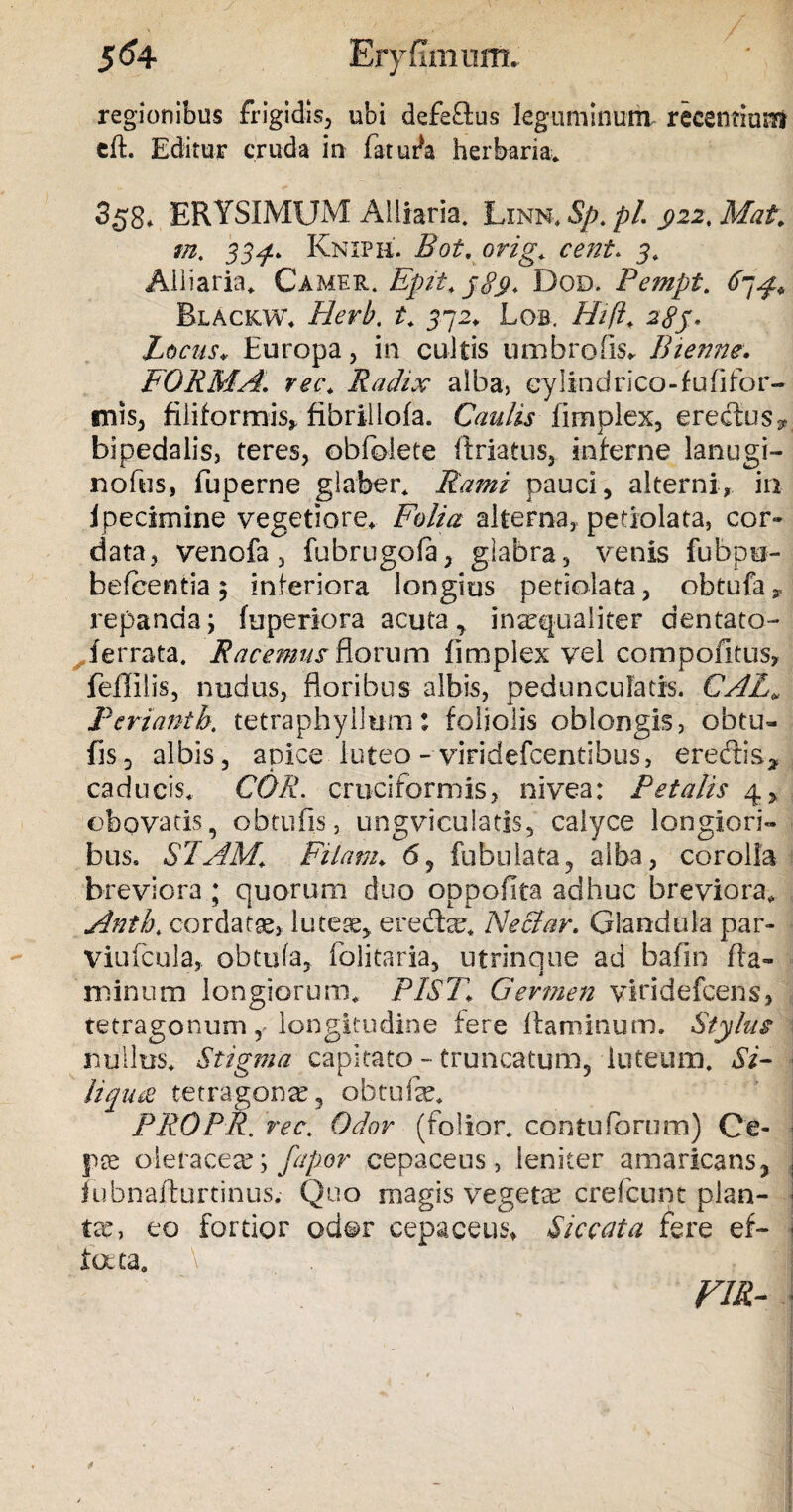 regionibus frigidis, ubi defe&us leguminum recentium eft. Editur cruda in fatura herbaria. 3$8* ERYSIMUM Aliiaria. Linn. Sp. pl. $22. Mat. m. Kniph. Bot. orig. cent. 3. Ailiaria. Camer. Epit.jSy* Dqd, Pempt. Blackw. Herb. t. 372. Los. Hift. 285* Locus* Europa, in cultis umbro fis. Bienne. FORMA, rec. Radix alba, cylindrico-fufifor- mis, filiformis, fibriliofa. Caulisfimplex, erectus^ bipedalis, teres, obfolete ftriatus, inferne lanugi- nofus, fuperne glaber. Rami pauci, alterni, in Ipecimine vegetiore. Folia alterna, petiolata, cor- data, venofa 5 fubrugofa, glabra, venis fubpe- befcentia; inferiora longius petiolata, obtufa* repanda; fuperiora acuta, inaequaliter dentato- ferrata. Racemus florum fimplex vel compofitus, feffilis, nudus, floribus albis, peduncularis. CAL* Feriantb. tetraphyllum: foliolis oblongis, obtu- fis, albis, apice luteo - viridefcentibus, eredis* caducis. COR. cruciformis, nivea: Petalis 4, obovatis, obtufis, ungviculatis, calyce longiori¬ bus, FIAM. Filam. 6, fabulata, alba, corolla breviora ; quorum duo oppofita adhuc breviora. Anth. cordatae, lutea?, erefte. Nectar. Glandula par- Viufcula, obtufa, folitaria, utrinque ad bafm fla¬ minum longiorum. PIST\ Germen viridefcens, tetragonum f longitudine fere flaminum. Stylus nullus. Stigma capitato - truncatum, luteum. Si¬ li quee tetragona?, oh tufa?. PROPR. rec. Odor (folior. con tu forum) Ce¬ pae oleracea?; fapor cepaceus, leniter amaricans, fubnafturtinus. Quo magis vegeta crefcunt plan¬ ta?, eo fortior odor cepaceus. Siccata fere ef¬ fata. \ .