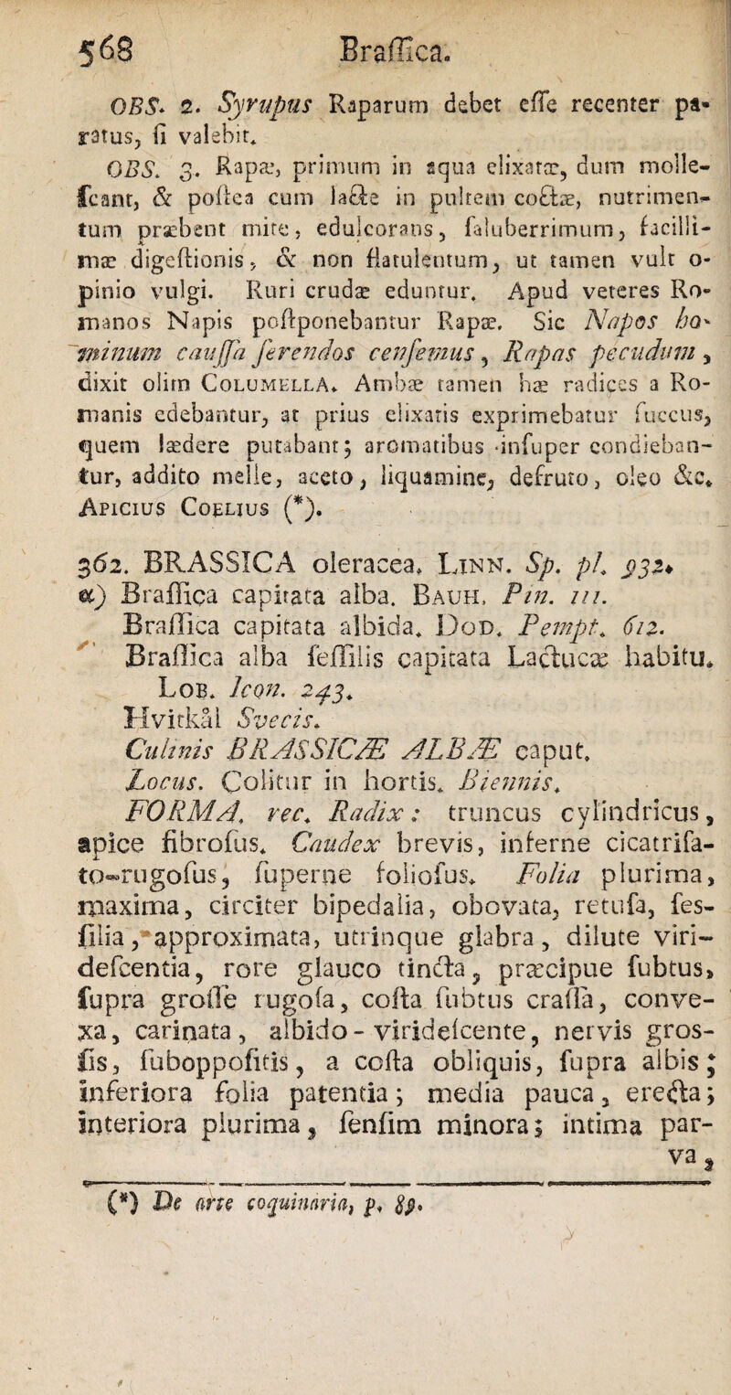 OBS* 2. Syrupus Raparum debet effe recenter pa» ratus, ft valebit* OBS. 3. Rapae, primum in aqua elixarcc, dum molle- fcantj & poftea cum la&e in pultem coQae, nutrimen¬ tum praebent mite, edulcorans, faluberrimum, facilli¬ mae digeftionis, & non flatulentiam , ut tamen vult o- pinio vulgi. Ruri crudae eduntur. Apud veteres Ro¬ manos Napis poftponebantur Rapae. Sic Napos /jq* minum caujja ferendos c en femus , Rapas pecudum , dixit olirn Columella* Ambae tamen ha radices a Ro¬ manis edebantur, at prius elixaris exprimebatur fuccus, quem laedere putabant; aromatibus ‘infuper condieban¬ tur, addito melie, aceto, liquamine, defruto, oleo &e* Apicius Coelius (*). 362. BRASSICA oleracea, Linn. Sp. ph £>32* Braffica capitata alba. Bauh, Pin. in. Braflica capitata albida* Dod* Pempt* 612. Braffica alba feflilis capitata Lactuca habitu* Lob* Icon. 2^3* Hvitkai Svecis* Culinis BRAS SIC/E a1LBJE caput» Locus. Colitur in hortis* Biennis* FORMA, rec* Radix: truncus cylindricus, apice fibrofus* Caudex brevis, inferne cicatrifa- to-rugofus3 fu perne foliofus* Folia plurima, maxima, circiter bipedalia, obovata, retufa, fes- illia/approximata, utrinque glabra , dilute viri— defeentia, rore glauco tindla, prxeipue fubtus, fupra grofle rugofa, cofta fubtus crafla, conve¬ xa, carinata , albido - viriddeente , nervis gros- Cs, fuboppofitis ? a cofta obliquis, fupra albis; Inferiora folia patentia; media pauca, erefta; interiora plurima, fenfim minora; intima par- va t (*) De me coquinaria, p, ■ ■ , /  V ' > 1 V * (