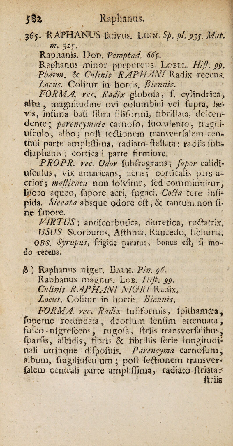 Raphanus. 365. RAPHANUS-fativus. Linn. Sp, pL Mat. m, 323. Raphanis. Dod. Pemptad\ 66f. Raphanus minor purpureus. Lobfl, Hift. yy. Pharrn. & Culinis RAPHANI Radix recens. Locus. Colitur in hortis. Biennis. FORMA.1 ree. Radix giobofa, f. cylindrica, alba , magnitudine ovi columbini vei fupra, lae¬ vis, infima bafi fibra filiformi, fibrillata, defceri¬ dente j parencymate carnofo, fucculento, fragi li¬ ti (culo, albo; pofl fedtionem transverfalem cen¬ trali parte ampliilima, radiato-ftellata: radiis fub- diaphanis i corticali parte firmiore. PROPR. rec. Odor fubfragrans; fapor calidi- ufcuius, vix amaricans, acris; corticalis pars a- crior; mafticata non folvitur, fed comminuitur, fncco aqueo, fapore acri, fugaci. CoBa fere infi- pida. Siccata absque odore eft?& tantum non fi¬ ne fapore. ■t L FIR2US: antifcorbutlca, diuretica, ructatrix. USUS Scorbutus, Afthma, Raucedo, Ilchuria. OBS. Syrupus, frigide paratus, bonus eft, fi mo¬ do recens. /J.) Raphanus niger. Bauh» Pin. $6. Raphanus magnus. Lob. Hift. yy. Culmis RAPHANI NIGRI Radix, Locus. Colitur in hortis. Biennis. FORMA\ rec. Radix fuliformis , fpithamsea, faperne rotundata , deorfura fenflm attenuata, fu ico - nigrefcens ? rugofa, flriis transverfalibus, fparfis, albidis, fibris & fibrillis ferie longitudi¬ nali utrinque difpofitis, Parencyma carnofum, album, fragiliufcuium; poff fedlionem transver¬ falem centrali parte ampiiffiraa, radiato-flriata: ftriis