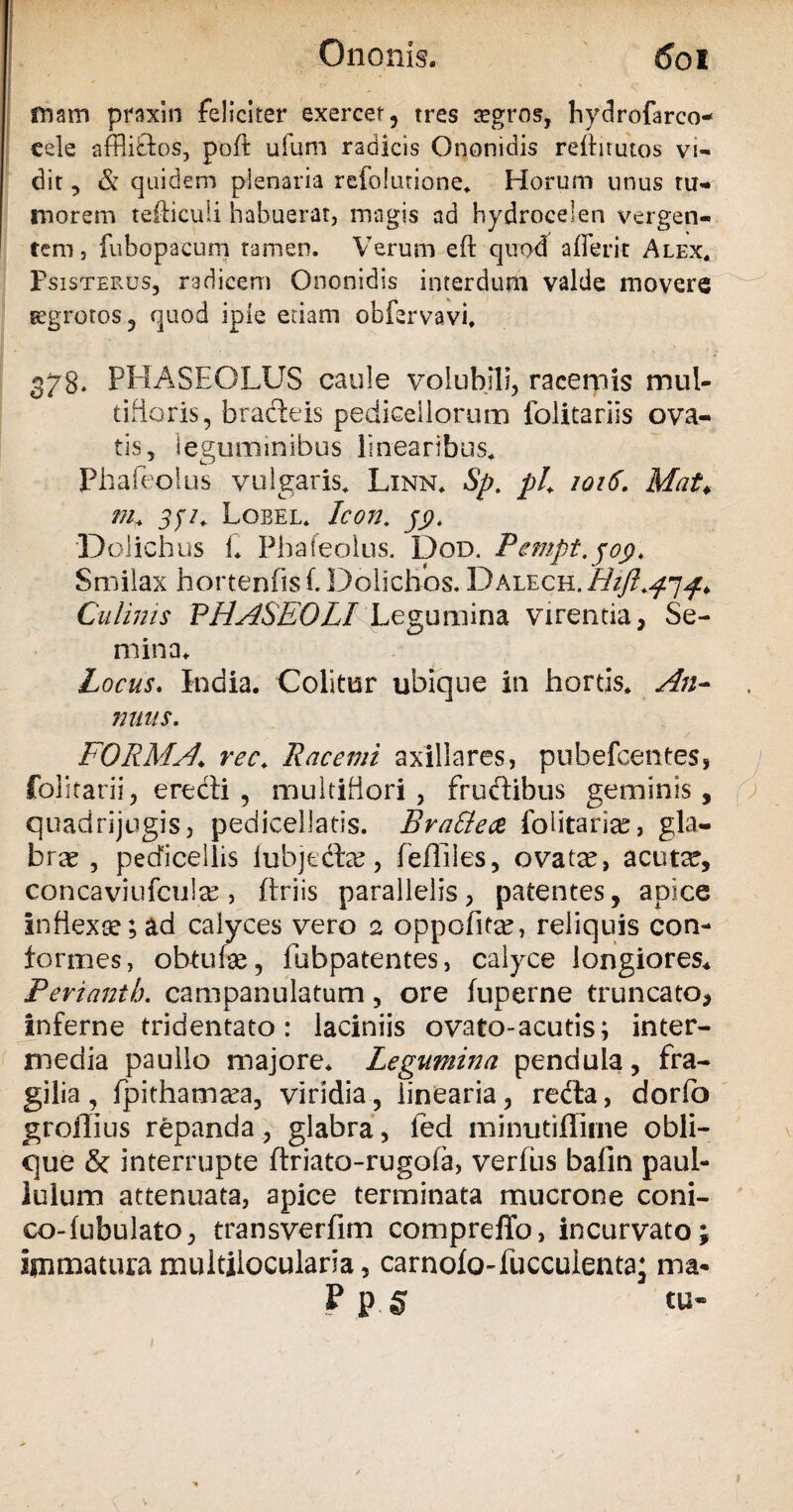 mam praxin feliciter exercet, tres aegros, hydrofarco- cele affliftos, poft ufum radicis Ononidis rdhrutos vi¬ dit , & quidem plenaria refolurione. Horum unus tu¬ morem tefticuli habuerat, magis ad hydrocelen vergen¬ tem, fubopacum tamen. Verum efl quod aderit Alex, Fsisterus, radicem Ononidis interdurfi valde movere segrotos, quod ipie etiam obfervavi. 378. PHASEOLUS caule volubili, racemis mul¬ tifloris, bracteis pediceilorum folitariis ova¬ tis, leguminibus linearibus, Phafeolus vulgaris. Linn, Sp, ph 1016. Mat♦ f?h Lobel. Icon. jj?, Dolichus 1. Phafeolus. Dod. Pempt.joj?. Smilax hortenfis f. Dolichos. Dalech. H1JI.47^ Culinis PHASEOLI Legumina virentia, Se¬ mina. Locus. India. Colitur ubique in hortis. An~ mius. FORMA\ rec. Racemi axillares, pubefcentes, foiitarii, erecti , multiflori, fructibus geminis, quadrijugis, pedicellatis. Bra&ece foiitaria?, gla¬ brae , pecficellis iubjedte, feffiles, ovatce, acuta?, concaviufculre, ftriis parallelis, patentes, apice Inflexae;ad calyces vero 2 oppofita?, reliquis con¬ formes, obtufe, fubpatentes, calyce longiores. Periantb. campanulatum, ore luperne truncato, inferne tridentato: laciniis ovato-acutis; inter¬ media paullo majore. Legumina pendula, fra¬ gilia , fpithamsea, viridia, linearia, refta, dorfo groflius repanda, glabra, led minutiflirne obli¬ que & interrupte ftriato-rugofa, verfiis bafin paul- lulum attenuata, apice terminata mucrone coni- co-fubulato, transverfim compreffo, incurvato immatura multilocularia, carnoio-fuccuienta; ma*