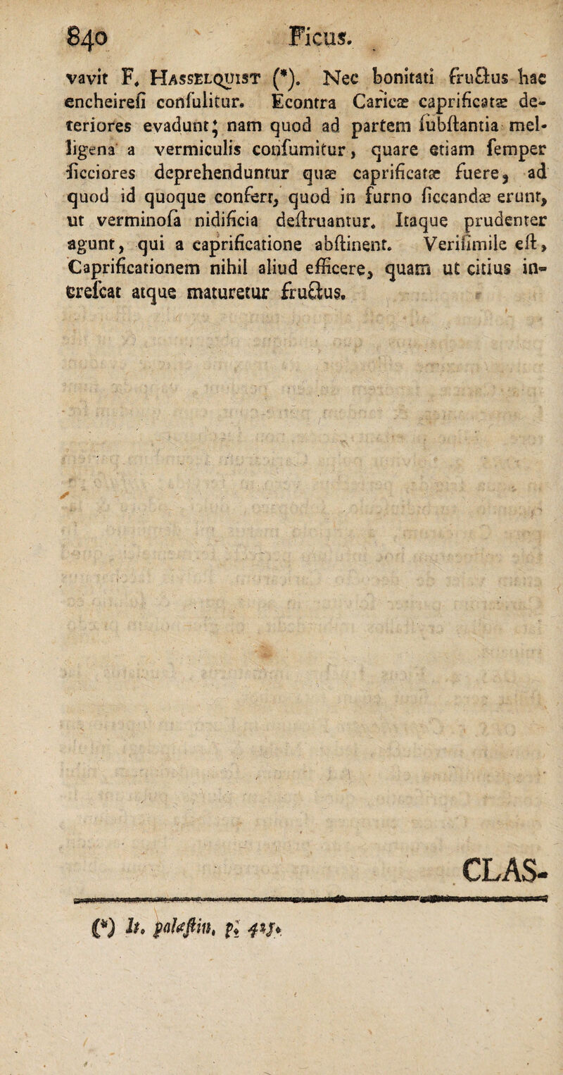 vavit F4 Hasselquist (*). Nec bonitati fruQus hac encheirefi confulitur. Econtra Caricae caprificatse de¬ teriores evadunt* nam quod ad partem (ubftantia mel- ligena a vermiculis confumiCur, quare etiam femper ficciores deprehenduntur quae caprificatae fuere , ad quod id quoque confert, quod in furno hccandae erunt, ut verminofa nidificia defruamur. Itaque prudenter agunt, qui a caprificatione abflinent. Verifimile eft. Caprificationem nihil aliud efficere, quam ut citius in« erefcat atque maturetur fruSus. ✓ :% CLAS- l_jn i)in iuhiT ri)iln iTimt~ I.lifi riiTTrr-trnnT timi i r'iiimirrinoiigrtf (*) h> paUftin, ft -#»/.