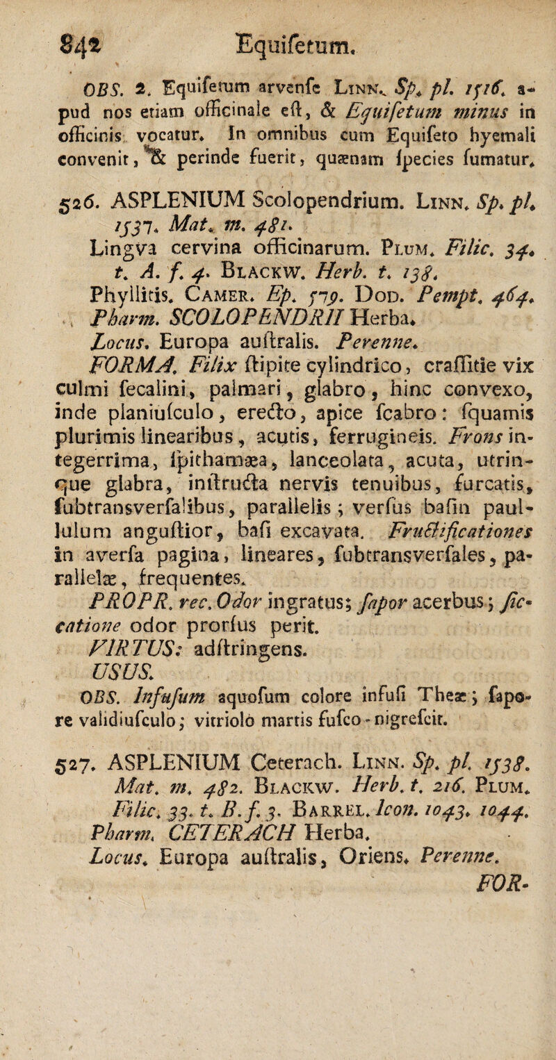 OBS. 2. Equiferum arvenfc Linkv Sp4 pL 131(8. a- pud nos etiam officinale eft, & Egui fetum minus in officinis vocator* In omnibus cum Equifeto hyemali convenit, ot perinde fuerit, quaenam fpecies fumatur* 526. ASPLENIUM Scolopendrium. Linn* Sp* ph 1331. Mat. m. Lingva cervina officinarum. Plum. Filic. t. A. f 4* Bxackw. Herb. t. 1384 Phyllitis* Camer. Ep. 313. Dod. Pempt. 464. Phavm. SC0L0PENDR1I Herba* Locus. Europa auftralis, Perenne♦ FORMA\ Filix ftipiee cylindrico, craflitie vix culmi fecalini, palmari, glabro , hinc convexo, inde pianiufculo, erefto, apice fcabro: fquamis plurimis linearibus, acutis, ferrugineis. Frons in¬ tegerrima, Ipitharnaea, lanceolata^ acuta, utrin- cjue glabra, initrudla nervis tenuibus, furcatls» fubtransverfalibus, parallelis; verfus bafin paul- lulum anguftior, ba.fi excavata. FvuSlificationes in averfa pagina, lineares, fubtransverfales, pa¬ rallelas, frequentes. PROPR. rec. Odor ingratus; Jfapov acerbus; Jic• C at ion e odor prorfus perit. FIR TUS: adftringens. USUS. OBS. Infujum aquofum colore infuH Theac; fapo- re validiufculo; vitriolo manis fufco - nigrefeir. 527. ASPLENIUM Ceterach. Linn. Sp. pl 1338. Mat. m. 482* Bxackw. Herb. t, 216. Plum* Ftlic. 33, t* B.f. 3. Barrel Jcon. 1043, 1044. Pharm, CETERACH Herba. Locus* Europa auftralis, Oriens* Perenne. FOR-