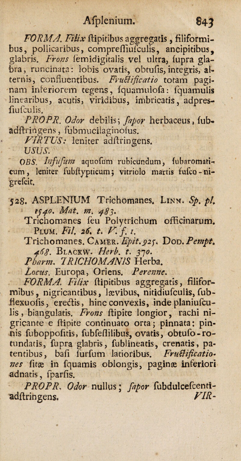 Afplenium, 845 FORMA. Filix ftipitibus aggregatis, filiformi¬ bus, pollicaribus, compreftiuf culis, ancipitibus, glabris. Frons femidigitalis vel ultra, fupra gla¬ bra, runcinata: lobis ovatis, obtufis, integris, ab ternis, confluentibus. Fvit&ificatio totam pagi¬ nam interiorem tegens, fquamulofa: fquamulis linearibus, acutis, viridibus, imbricatis, adpres- fiufculis. PROPR. Odor debilis; fapor herbaceus, fub* adftringens, fubmucilaginofus. VIRTUS: leniter adftringens* USUS. OBS. Infnfum aqoofum rubicundum, fubaromatH curn, leniter fubftypticum j vitriolo martis fufco - ni- grefcit. 528* ASPLENIUM Trichomanes* Linn. Sp. pR rj^o. Mat. tn, 483* Trichomanes feu Polytrichum officinarum* Plum. FU, 26, t. V f /. Trichomanes. Cambr. Epit.pij, Dod. Pempt. 4f.6§. Blackw. Herb. t, 370. Phamu 7RICH0MANIS Herba. Locus. Europa, Oriens. Perenne. FORMA, Filix ftipitibus aggregatis, filifor¬ mibus, nigricantibus, Igevibus, nitidiufculis, fub- ftexuofis, erecftis, hinc convexis, inde planiufcu- lis, biangulatis. Frons ftipite longior, rachi ni¬ gricante e ftipite continuato orta; pinnata: pin¬ nis fuboppofitis, fubfeflilibus, ovatis, obtufo-ro¬ tundatis, fupra glabris, fublineatis, crenatis, pa¬ tentibus, bafi furfum latioribus. FruBificatio• nes fitae in fquamis oblongis, paginae inferiori adnatis, fparfis. PROPR, Odor nullus; fapor fubdulcefcenti- adftringens» VIR-