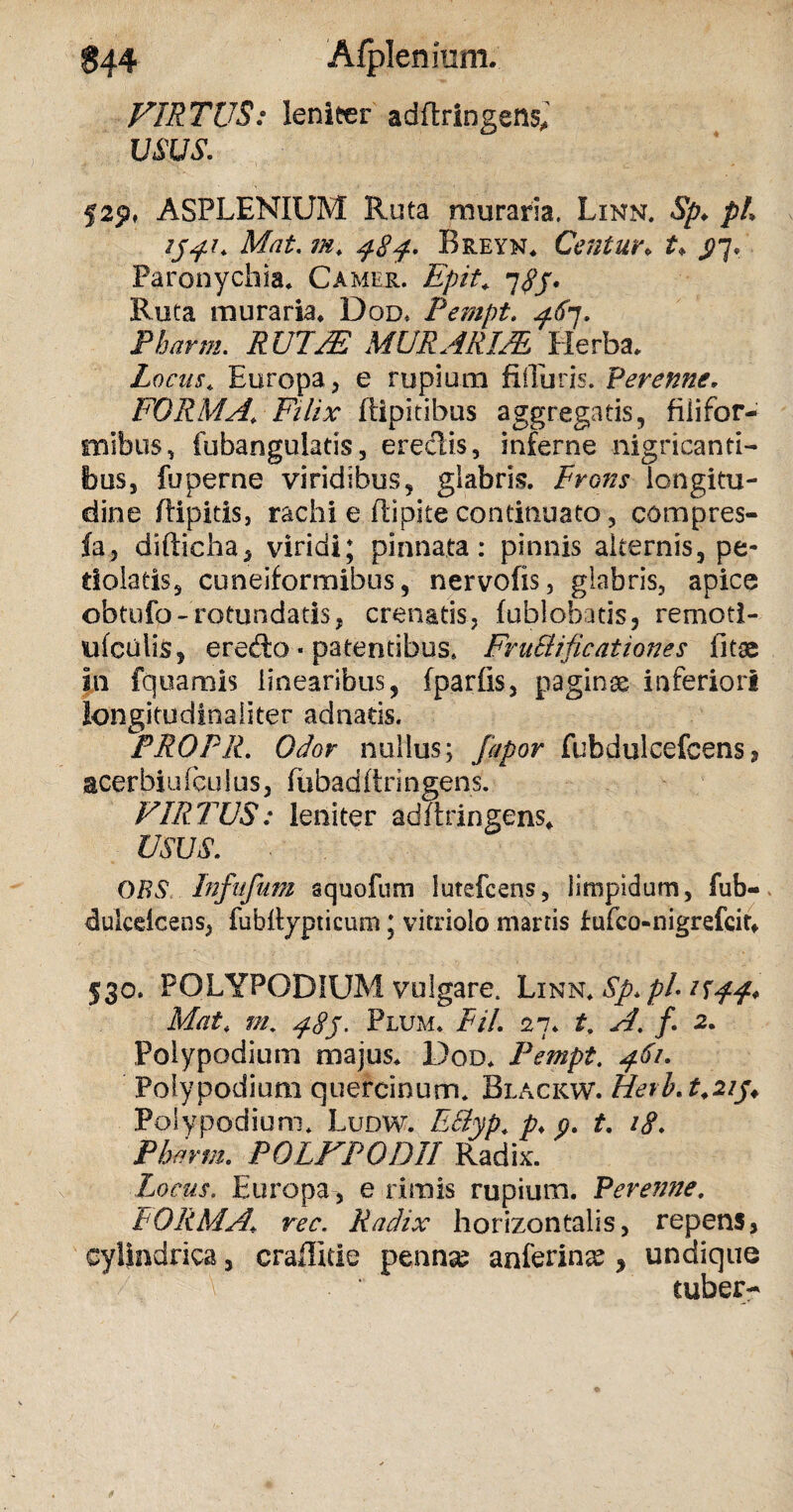 Alplenmm. VIRTUS: leniter adftringens, mus. f2p, ASPLENIUM Ruta muraria. Linn. Sp. pL ijj'?. Mat. m. 48f. Breyn. Centur♦ $7. Paronychia* Camer. Epit. 785* Ruta muraria* Dod* Pempt. $87. Pbarm. R UT & MURARIM Herba. Locus . Europa, e rupium fifluris. Perenne. FORMA’ Filix ftipicihus aggregatis, filifor¬ mibus, fubangulatis, eredis, inferne nigricanti¬ bus, fu perne viridibus, glabris. Frons longitu¬ dine ftipitis, rachi e flipite continuato, compres- fa, difticha, viridi; pinnata: pinnis alternis, pe- tlolatis, cuneiformibus, nervofis, glabris, apice obtufo-rotundatis, crenatis, fublobatis, remoti- ufculis, eredo • patentibus. FntElificationes fitae in fquamis linearibus, fparfis, paginae inferiori longitudinaiiter adnatis. PROPR. Odor nullus; Japor fubdulcefcens, acerbiufcu I us, fiibadftringens. VIRTUS: leniter adftringenst USUS. DBS Infufum squofum lutefcens, limpidum, fub- dulcdcens, fubftypticum; vitriolo.marris iufco-nigrefcit* 530. POLYPODIUM vulgare. Linn. Sp. pl Mat. m, 48j. Plum. Pii. 27* t. A. f. 2. Poiypodium majus. Dod. Pempt. 461. Polypodium quercinum. Blackw. Heib.t.iip* Poiypodium. Ludw. E8yp. p> p. t. 18. Pbarm. POLFPODII Radix. Locus. Europa , e rimis rupium. Perenne. FORMA[ ree. Radix horizontalis, repens, cylindrica, craffitie pennas anferina? y undique tuber-