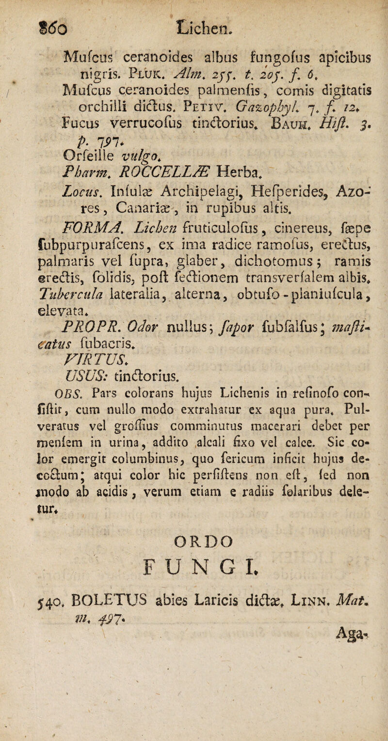 Mufcus ceranoides albus fungofus apicibus nigris. Fluk* Alm. 2jj. t. 20j. /. 6t Mufcus ceranoides paimenfo, comis digitatis orchiili dictus. Petiv, GazophyL 7. /* 12+ Fucus verrucofus tindorius* Bauh. Hifi. 3, p. 191* Orfeiile vulgo. Phavm. RQCCELL/E Herba* Locus. IniulcC Archipeiagi, Hefperides, Azo- res, Canaria; , in rupibus altis. FORMA[ Lichen fruticulofiis, cinereus, fepe fubpurpurafcens, ex ima radice ramofus, eredus, palmaris vel fupra, glaber , dichotomus; ramis ©redis, folidis, poft fedionem transverfalem albis* Tubercula lateralia? alterna, obtufo-planiufcula, elevata* PROPR* Odor nullus; fapov fubfalfus; mafli- catus fu ba eris* VIRTUS. USUS: tindorius. OBS. Pars colorans hujus Lichenis in refinofo con¬ fidit, cum nullo modo extrahatur ex aqua pura* Pul- veratus vel groffius comminutus macerari debet per menlem in urina, addito alcali fixo vel calce. Sic co¬ lor emergit columbinus, quo fericum inficit hujus de¬ coctum * atqui color hic perfidens non eft, fed non modo ab acidis, verum etiam e radiis fokribus dele- fur* ORDO FUNGI. 540, BOLETUS abies Laricis dida;» Linn. Mat. m, 497. Aga-