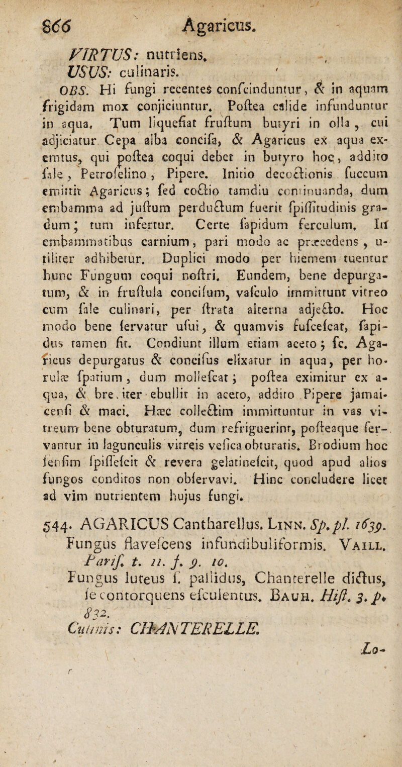 VIRTUS: nutriens. USUS: culinaris. OBS. Hi fungi recentes confcinduntur, & in aquam frigidam mox conjiciuntur* Poftea calide infunduntur in aqua. Tum liquefiat fruftum butyri in olla , cui adjiciatur Cepa alba concifa, & Agaricus ex aqua ex¬ ercitus, qui pcflea coqui debet in butyro hoc , addiro fide y Perrofelino, Pipere. Initio decoBionis fuccum emittit Agaricus; fed coBio tamdiu continuanda, dum embamma ad juftum perduBum fuerit fpiffitudinis gra¬ dum * tum infertur. Certe fapidum ferculum. Iit embammatibus carnium, pari modo ac prxcedens , u- tiliter adhibetur. Duplici modo per hiemem tuentur hunc Fungum coqui noftri. Eundem, bene depurga¬ turo, & in fruftu.la concilum, vafculo immittunt vitreo cum fale culinari, per (Irata alterna adjeBo. Hoc modo bene fervatur ufius, & quamvis tufcefcat, fapi- dus tamen fit. Condiunt illum etiam aceto; fc. Aga¬ ricus depurgatus 6i concifus elixatur in aqua, per ho* rulx fparium, dum moliefcat; poftea eximitur ex a- qua, & breviter ebullit in aceto, addiro Pipere jamai- cenfi & maci. Htec coileBim immittuntur in vas vi¬ treum bene obfuratum9 dum refriguerinr, poffeaque fer¬ vantur in lagunculis virreis vefica obturatis. Brodium hoc fenfim fpiflefcit & revera gelatinefcit, quod apud alios fungos conditos non obfervavi. Hinc concludere licet ad vim nutrientem hujus fungi* 544. AGARICUS Cantharellus* Linn. Sp»pl 1639* Fungus flavefcens infuridibuliformis. Vaill. Parif* t. 11. j» y. 10, Fungus luteus fi pallidus, Chanterelle didus, ie contorquens efculentus. Bauh. Hift» s.p* $32. ’ , ‘ Culmis: CHANTERELLE» Lo~