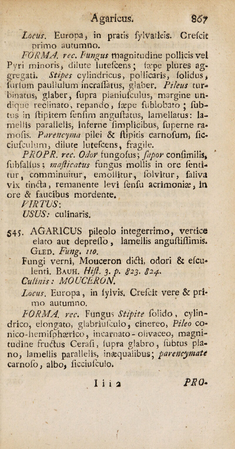 Lotus. Europa, in pratis fylVadcis. Grefck primo autumno* FORMA, ree. Fungus magnitudine pollicis vel Pyri minoris5 dilute lutefcens j tepe plores ag¬ gregati. Stipes cylindricus, pollicaris, (olidus* ludum pauliulum incraflatus, glaber. Pileus tut* binatusj glaber* fupra plaiiiufculus, margine un¬ dique reclinato, repando * tepe fublobato j fub- tus in ftipitem fenfim angufhtus, lamellatus: la¬ mellis parallelis, inferne fimplicibus, fuperne ra- mofis. Pavencyma pilei & ftipitis darnofum* fid- ciufculum, dilute lutefcens* fragile. PROPR. ree. Odor fungofus; fapor confirnilis* fubfalius; mafticatits fungus mollis in ore lenti-* tur, comminuitur* emollitur* folvitur, faliva vix tincta, remanente levi i en fu acrimonte, in ore & faucibus mordente* F1RTVS: USUS: culinaris. §45. AGAR1CUS pileolo integerrimo* verdee elato aut depreflo , lamellis angufliflimis* Gled. Fung, no. Fungi verni, Mouceron didii, odori & efcu* lenti, BauH, Hifl. j. 823. <fay. Culinis: MO UCER ON. Locus. Europa, in (yivis* Crefeit vere & pri¬ mo autumno. FORMA, rec. Fungus Stipite folido, cylin¬ drico* eiongatoj glabriufculo* cinereo, Pileo co* nico-liemifphserico* incarnato-oiivaceo, magni¬ tudine frubtus Cerafi, iupra glabro* (ubtus pla¬ no, lamellis parallelis, in&quaiibus; parencymaU carnofo, albo* ficciufculo* I i i % PRO* * {