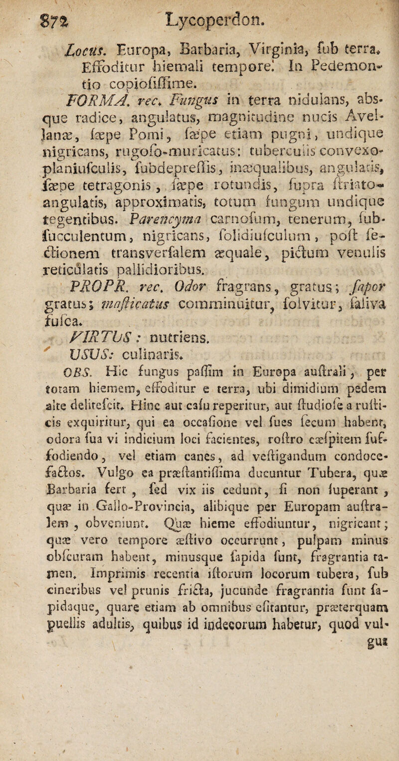 • S72 Lycoperdo n9 Locus. Europa, Barbaria, Virginia, fub terra. Effoditur hiemali tempore! In Pedemon- tio copiofiffime. FORMA* rec. Fungus in terra nidulans, abs¬ que radice, angulatus, magnitudine nucis Avel- Janae, fope Pomi, fepe etiam pugni, undique nigricans, rugofo-muricatus: tuberculis convexo- planiufculis, fubdepreffis, inasqualibus, angulatis, fepe tetragonis, .fepe rotundis, fupra ftriato- angulatis, approximaris, totum fungum undique tegentibus. Parencyma carnoium, tenerum, fub- faeculentum, nigricans, folidiufculum, poft Te¬ ctionem transverfalem aquale, pictum venulis reticulatis pallidioribus. PRQPR. rec. Odor fragrans, gratus; fapor gratus; viafticatus comminuitur, foivitur, faliva tu lea* FIRTbS: nutriens. USUS: cufinaris* ORS. Hic fungos paflim in Europa auftrali, per totam hiemem, effoditur e terra, ubi dimidium pedem site deliteicir* Hinc aut calu reperitur, aut ftudiofe a ruili- cis exquiritur, qui ea occafone vel fues fecum habenr, odora fua vi indicium loci facientes, roftro caefpitem luf- fodiendo, vel etiam canes, ad vcftigandum condoce* faftos. Vulgo ea praeftanriffima ducuntur Tubera, quae Barbaria fert , fed vix iis cedunt, (i non luperant , qua? in .Gallo-Provincia, alibique per Europam auftra- lem , obveniunt* Qba? hieme effodiuntur, nigricant; qua? vero tempore aeitivo occurrunt, pulpam minus ob(curam habent, minusque lapida funt, fragrantia ta¬ men* Imprimis recentia iftorum locorum tubera, fub cineribus vel prunis frifta, jucunde fragrantia funt fa- pidaque, quare etiam ab omnibus ditantur, praeterquam guellis adultis, quibus id iodecorum habetur, quod vuff \ . • gut