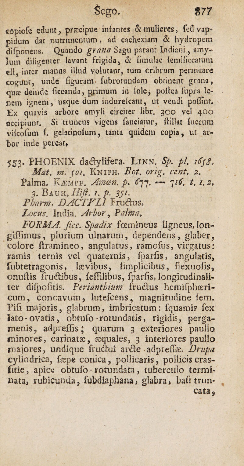 $77 Sego, copiofe edunt, praecipue infantes & mulieres, fed vap» pidum dat nutrimentum, ad cachexiam & hydropem difponens. Quando grana Sagu parant Indiani , amy« Ium diligenter lavant frigida 5 & (imulae (emihccatum eft5 inter manus illud volutant, tum cribrum permeare cogunt* unde figuram fubrotundam obtinent grana, qute deinde ficcanda, primum in fole, poftea fupra le¬ nem ignem, usque dum indureicant, ut vendi poffint. Ex quavis arbore amyli circiter libr, 30Q vel 400 accipiunt. Si truncus vigens fauciatur, fiillat luccutn vilcofum (, gelatinoium, tanta quidem copia, ut ar¬ bor inde pereat* 553. PHOENIX dadlyiifera. Linn. Sp. pL i6$g, Mat♦ mi joi. Kniph. Bot. orig, cent. 2, Palma* Kaempf, Animi, p* ^77, — 716. t. 1.2, 3♦ Bauh, Hifl. 1. p. 3ji. Pbarm. DACTFLl Fruftus. Locus. India, Arhor , Palma* FORMA, ficc. Spadix fcemlneus ligneus, Ion- giffimus, plurium ulnarum, dependens, glaber, colore ftramineo, angulatus, ramofus, virgatus: ramis ternis vel quaternis, fparfis, angulatis, fubtetragonis, Isevibus, limplicibus, fiexuofis, onuftis frudibus, feffilibus, fparfis, longitudinali* ter difpofitis. Pevianthium frudius hemifphoeri- cum, concavum, lutefeens, magnitudine (em. Pifi majoris, glabrum, imbricatum: fquarois fex lato - ovatis, obtufo - rotundatis, rigidis, perga¬ menis, adpreffis; quarum 3 exteriores paullo minores, carinatae, aquales, 3 interiores paullo majores, undique frudui ardie-adprefife. Drupa cylindrica, fepe conica, pollicaris, pollicis cras- fitie, apice obtufo * rotundata, tuberculo termi¬ nata, rubicunda, fubdiaphana, glabra, bafi trum cata^